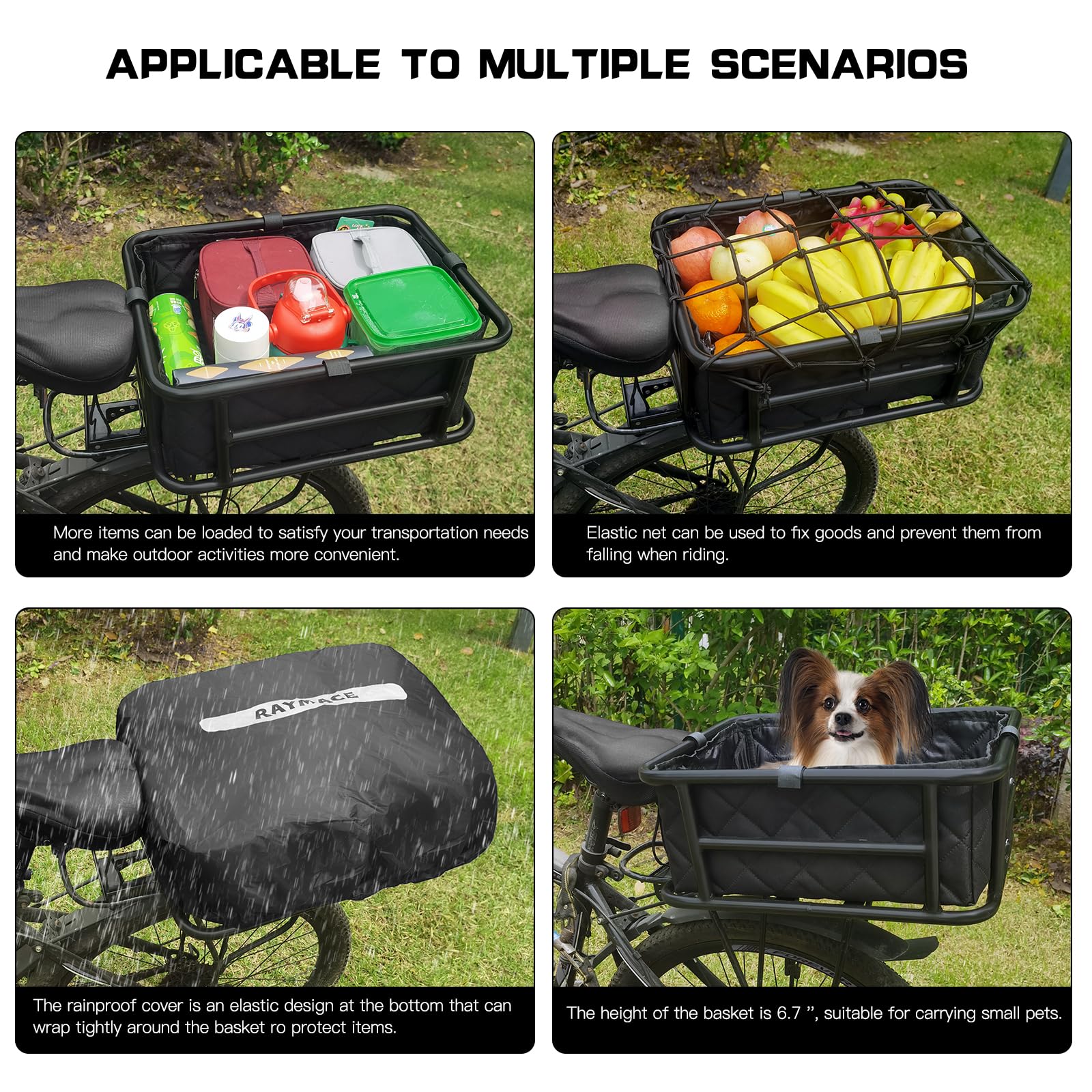https://m.media-amazon.com/images/I/81qA4mRnljL.jpg