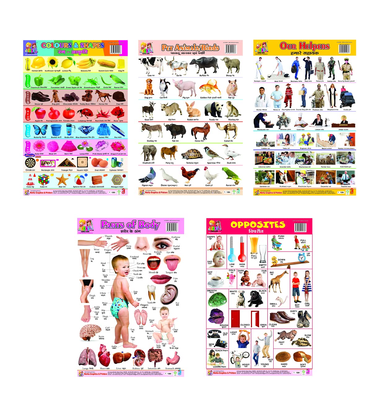 AADI PUBLICATION HOUSE Combo of 5 Learning Charts Colors & Shapes | Opposits | Our Helpers | Parts Of Body | Pet Animals & Birds- Size: (70 CM x 47 CM X 1 CM) Each Chart [Wall Chart] AADI PUBLICATION HOUSE