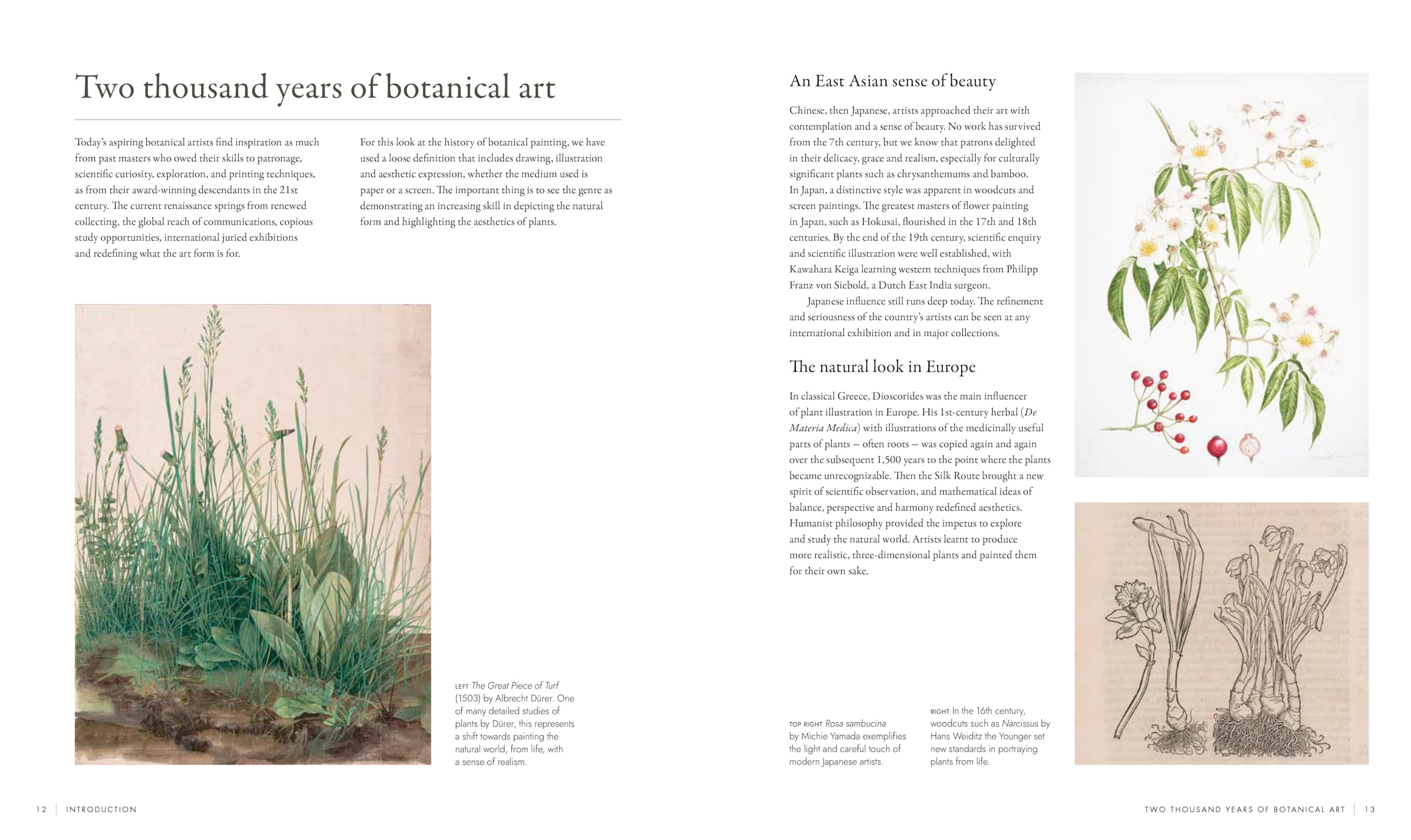 RHS Watercolour Botanical Art: A Practical Guide for Artists