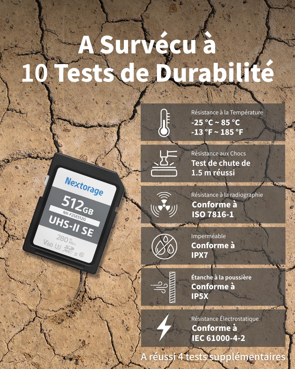Nextorage Marque Japonaise Carte SD UHS-II 256Go SDXC V60 Vitesse de Lecture maximale 280MB/s Vitesse d'écriture maximale 170MB/s Enregistrement 4K NX-F2SE256G Carte mémoire