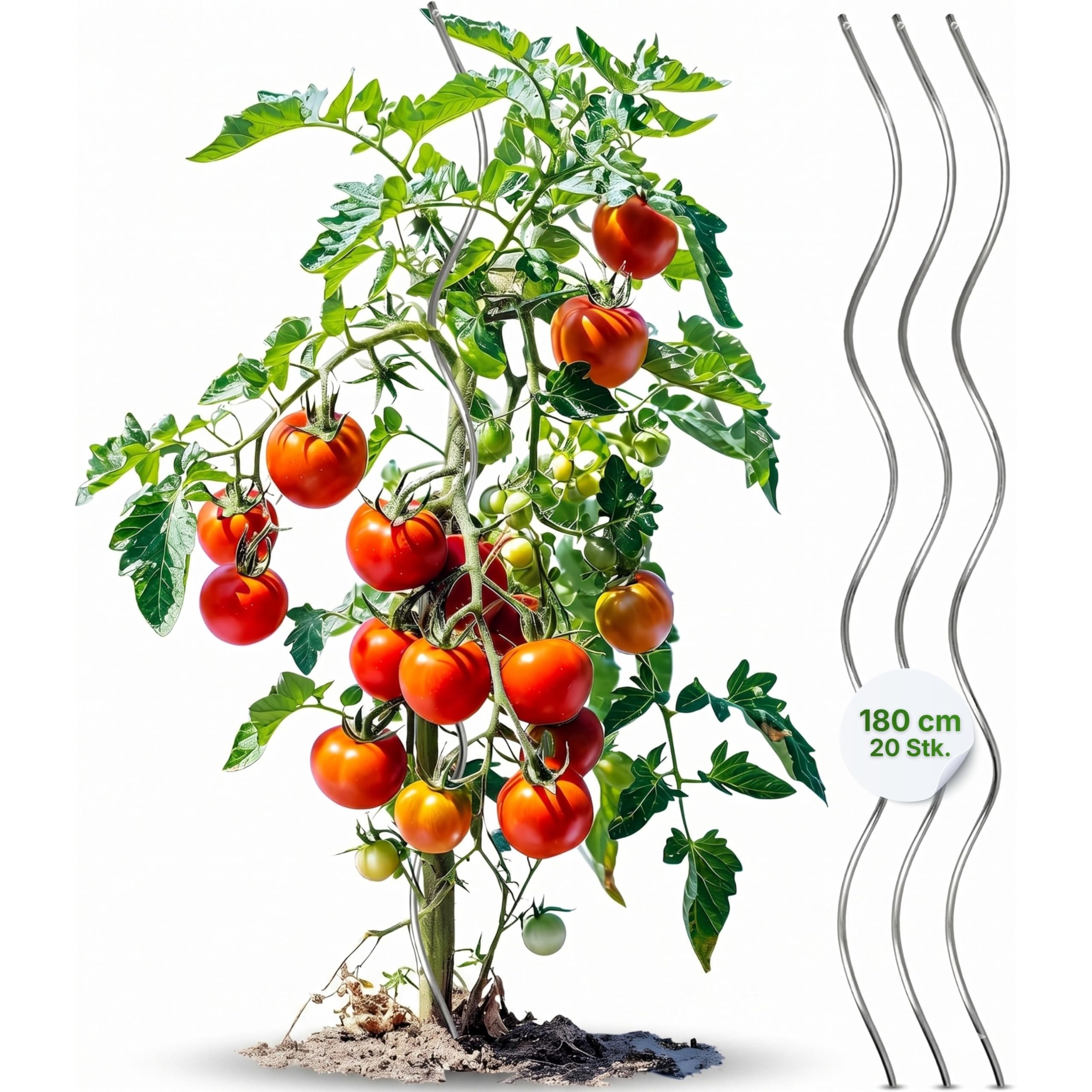 Gartenwelt Riegelsberger Tomatenspirale 180 cm – 20 Stück Tomatenstäbe aus Stahl Ø 5,6 mm, stabile Pflanzenstütze für Tomaten & Kletterpflanzen, wetterfest für Garten & Gewächshaus