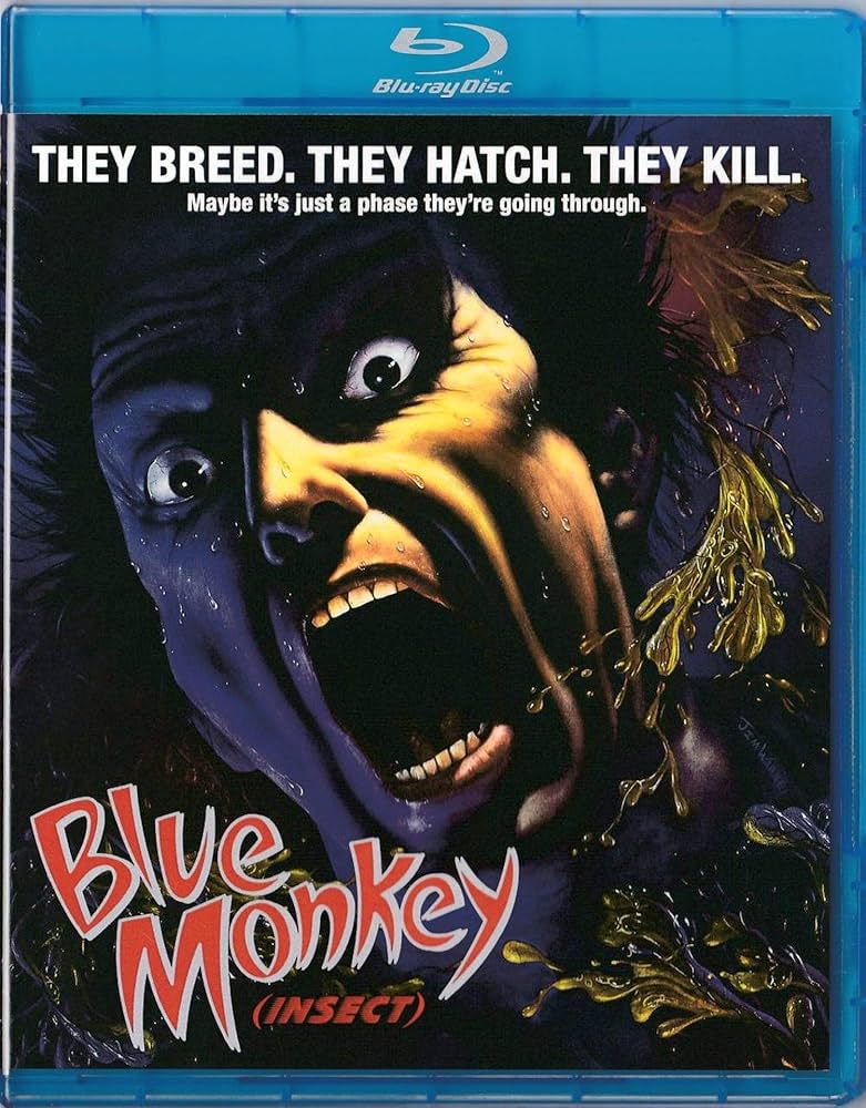 BluRay映画 映画『HiGH&LOW THE WORST X (クロス)』Blu-ray＆DVD 2023年1月