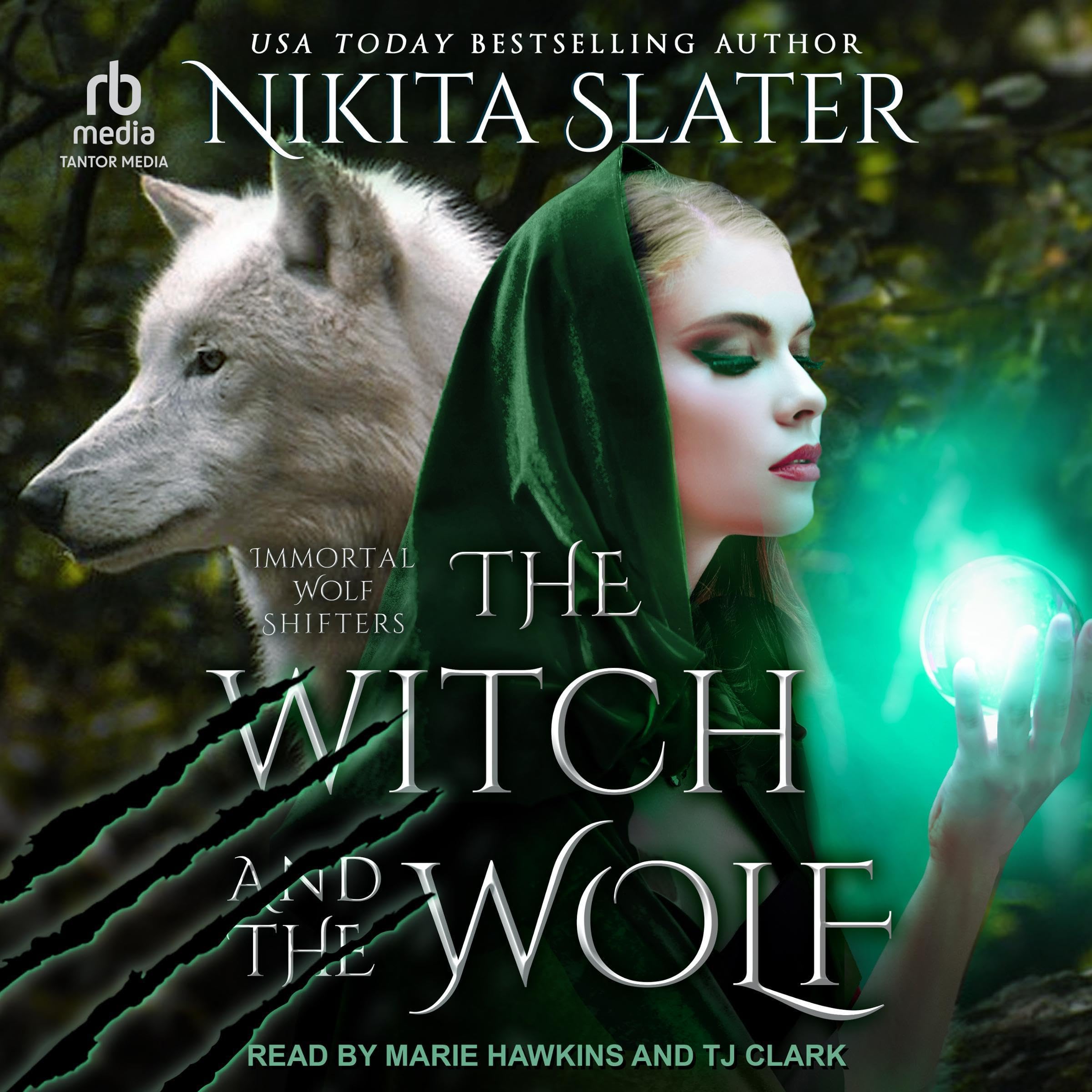 Cover art for The Witch and the Wolf