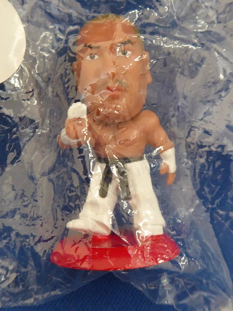 プロ格ヒーローズプロレスフィギュア25体セット