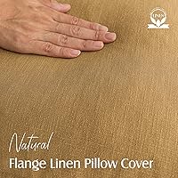 Vista 134 de Foindtower Paquete de 2 fundas de almohada decorativas de lino y liso, funda de cojín decorativa suave, estilo bohemio campestre para silla, sofá