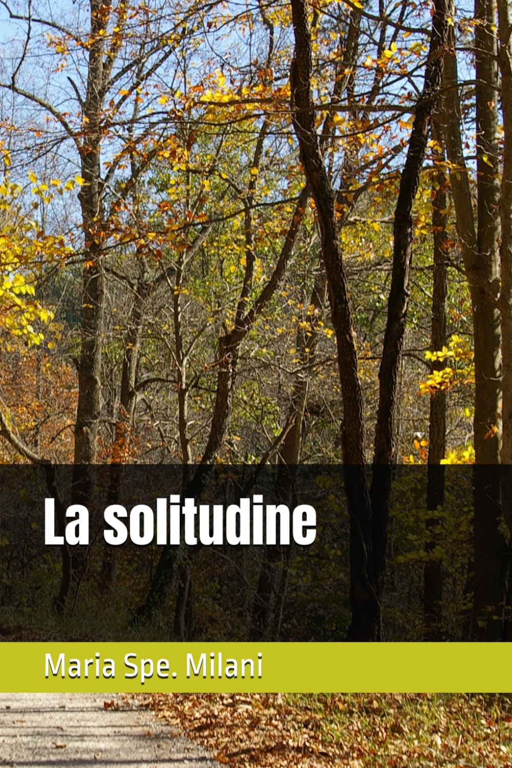 La solitudine