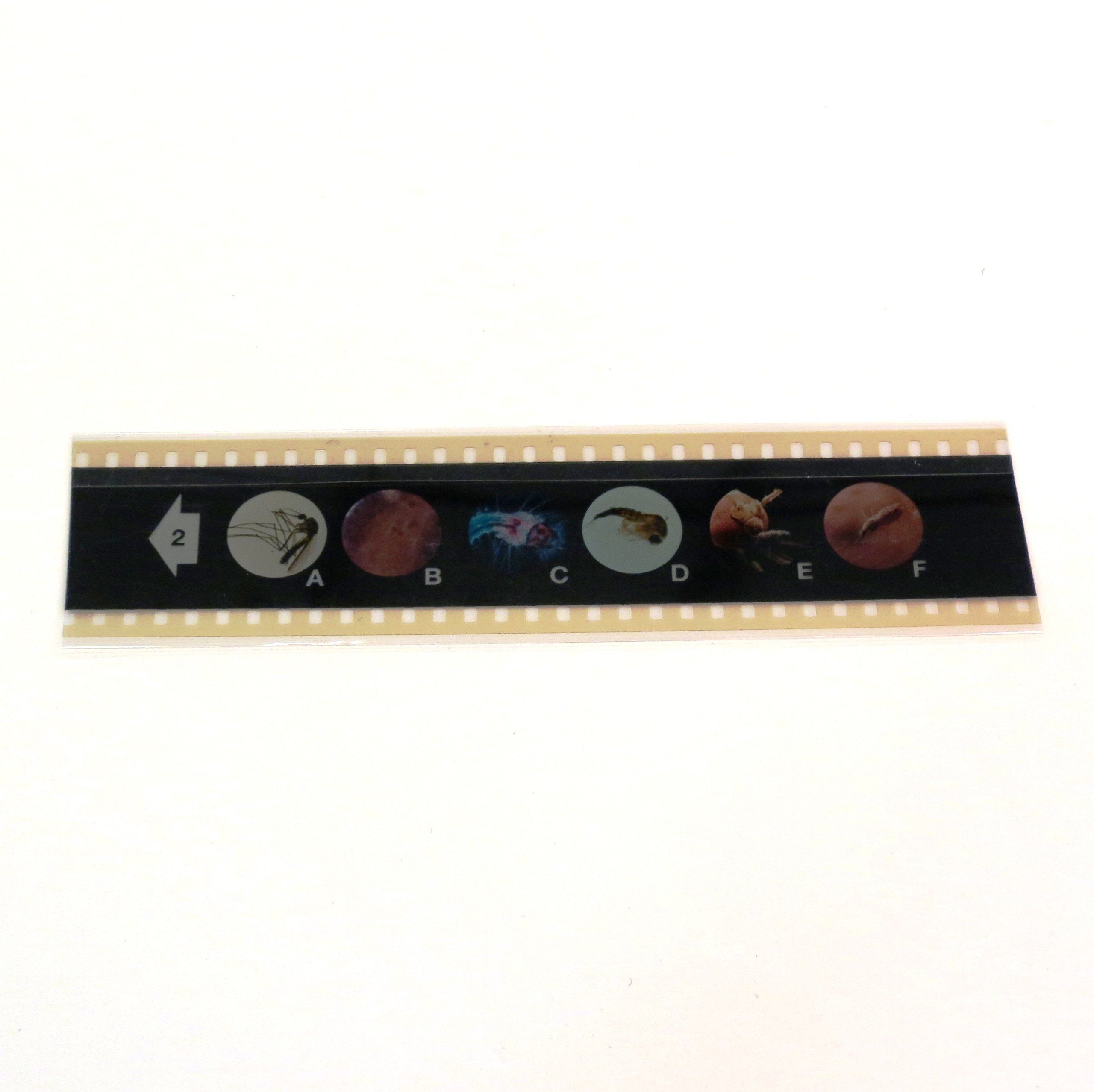 ETA hand2mind, Common Indicators Kit, (20564)