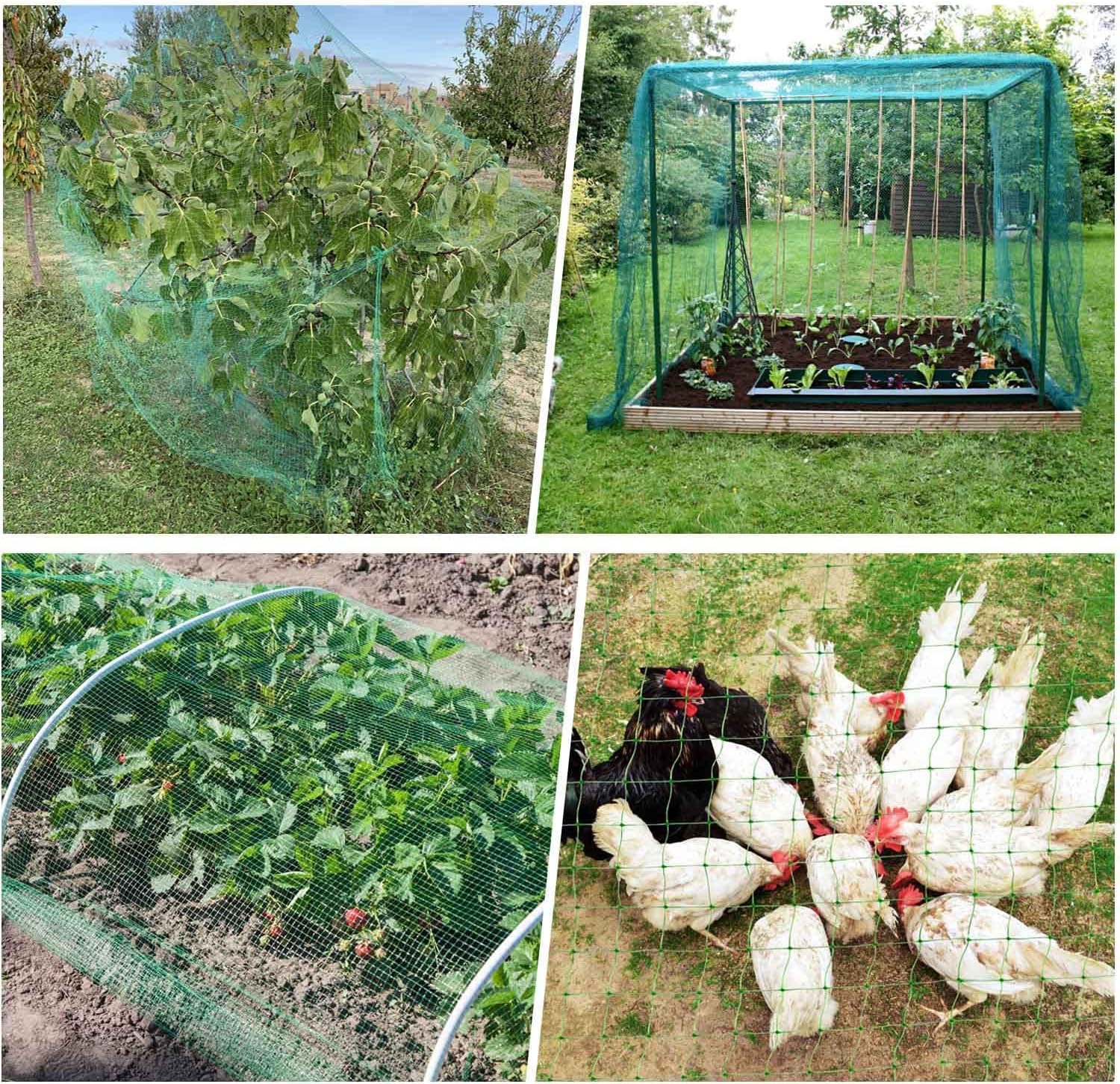 LATERN 2,1m x 30,5m Rete Anti-Uccelli in Plastica, Rete per Piante da Giardino Rete di Protezione per Frutto Alberi Verdure Fiori Piante Vigneti Recinzione - con 50 Fascette + 10 Picchetti a U (Verde)