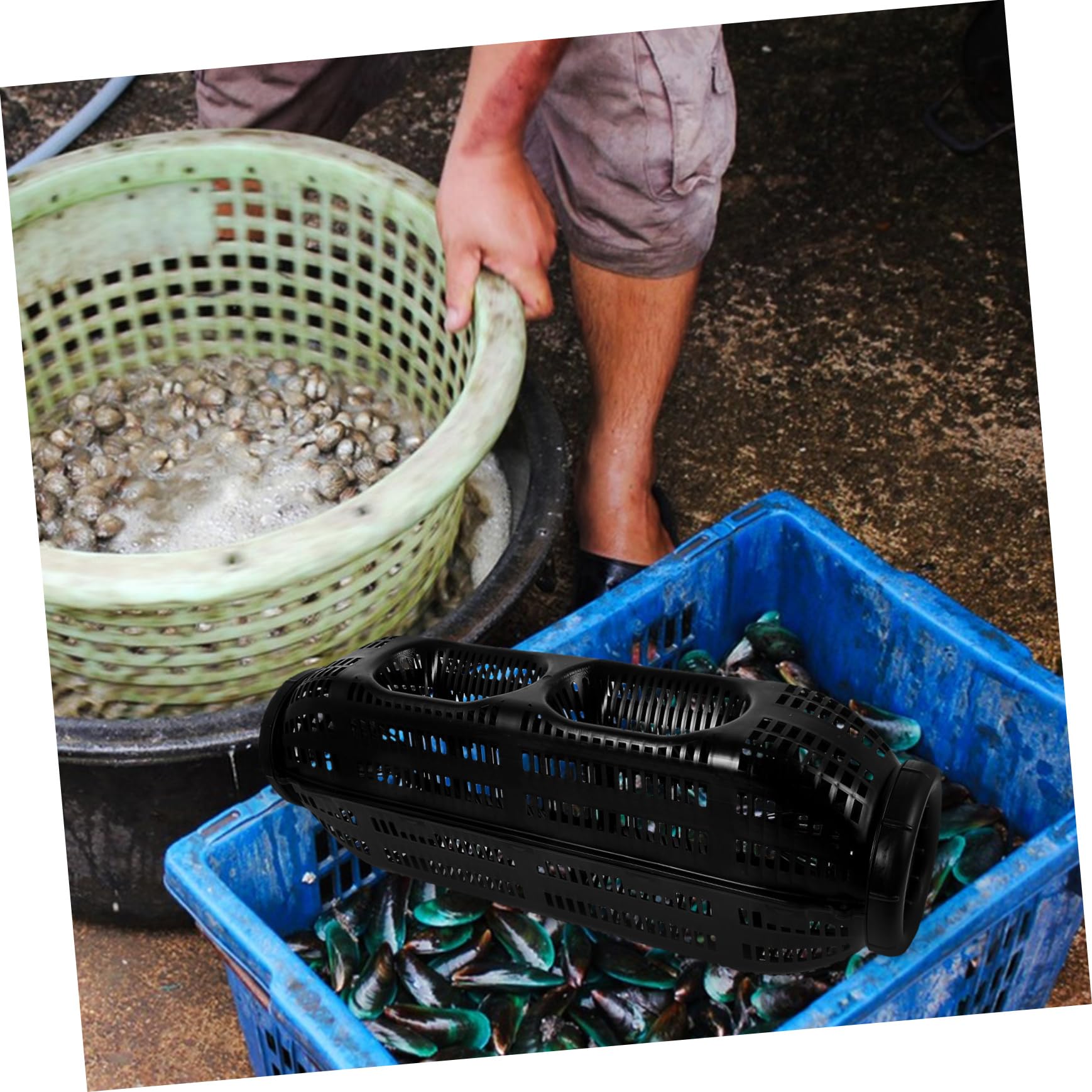 ibasenice gabbia di anguille gabbia di pesca portatile rete per anguille e gamberetti gabbia per esche per lanciatore di esche porta esche da pesca all'aperto plastica Black