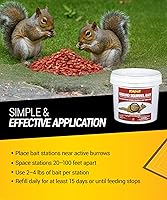 Vista 6 de Kaput Cebo de ardilla terrestre – eficaz para matar pulgas y ardillas con diphacinona e imidacloprid – Control de plagas dirigido para uso al aire