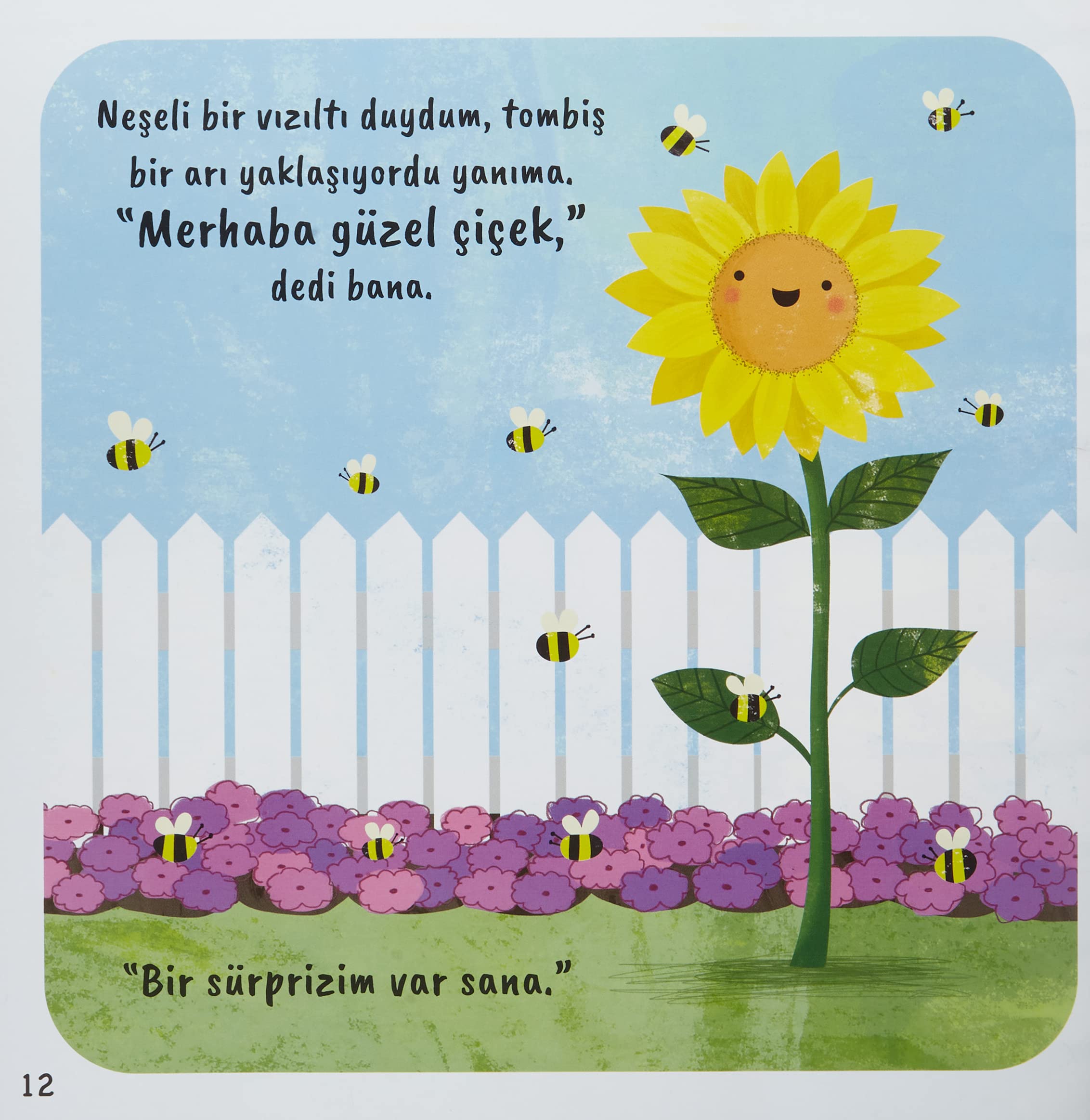 Kücük Aycicegi