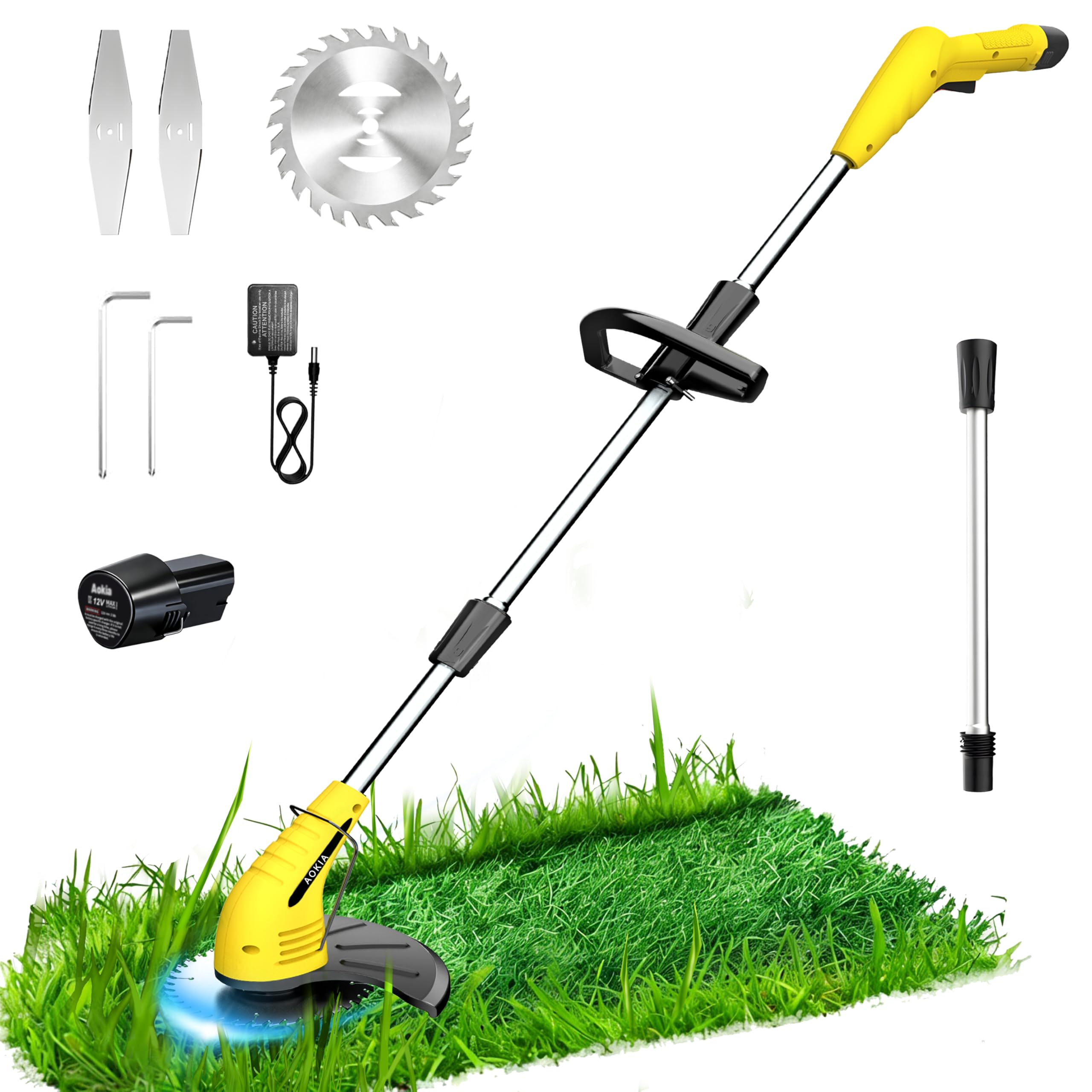 Amazon.com: Aokia Electric Weed Wacker Cordless, 12V Battery