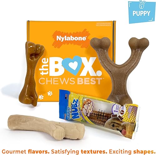 Miniatura 3 de Nylabone Caja de regalo para cachorros, 3 juguetes fuertes para masticar cachorros de dentición y 1 golosina para perros, suministros para