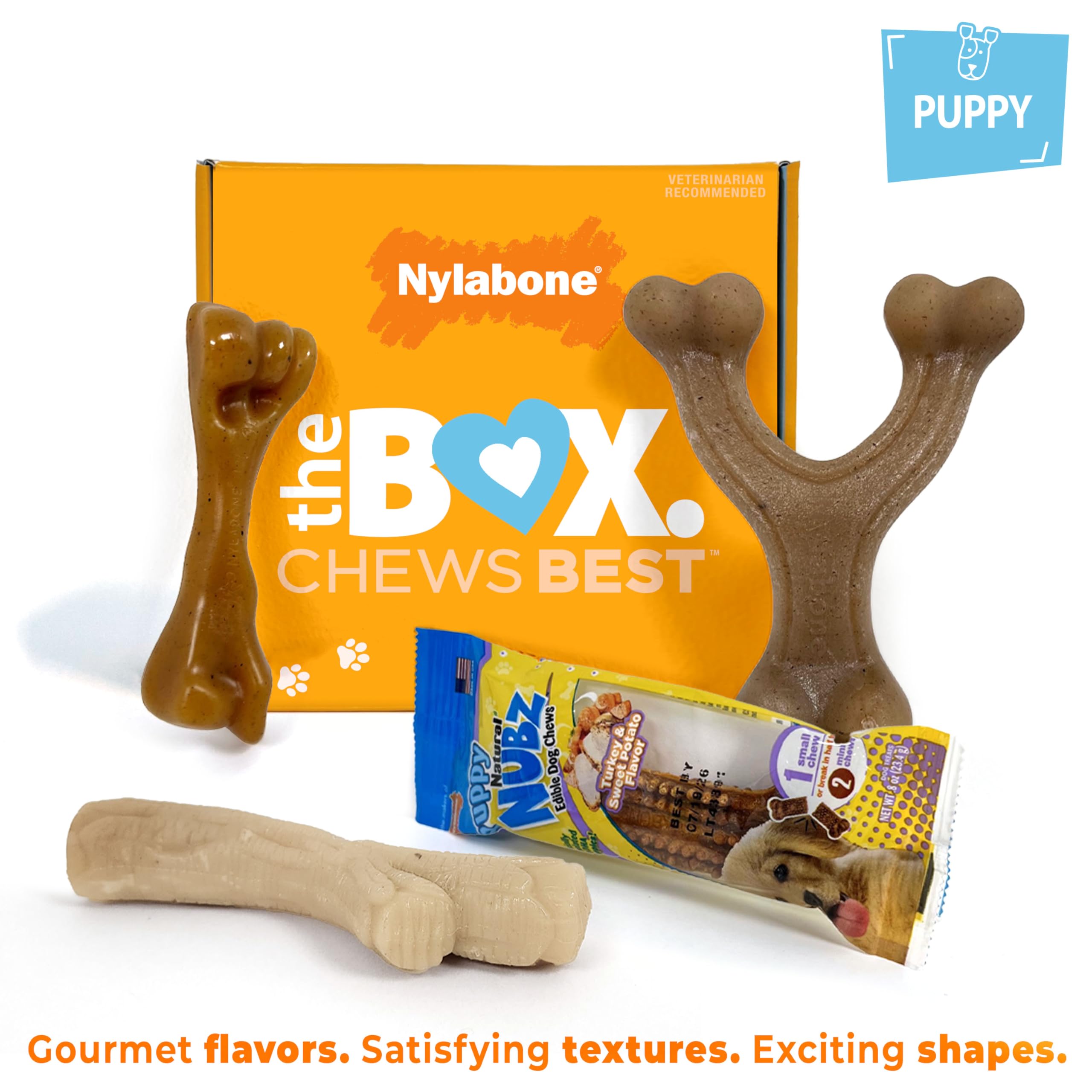 Nylabone Hundespielzeug-Geschenkbox, enthält 3 Starke Kauspielzeuge und 1 Hundeleckerli, Kauspielzeug für Welpen, klein/normal (4 Stück)