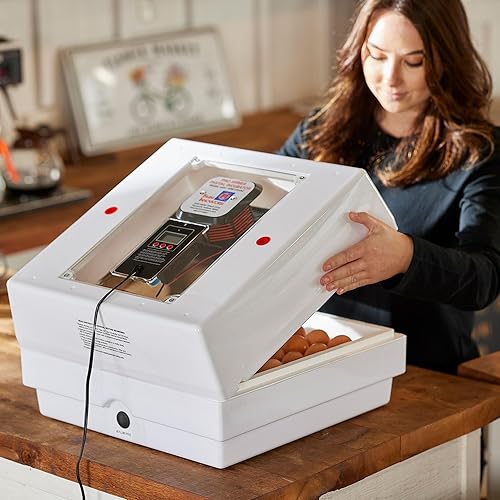 Vista 28 de Farm Innovators Incubadora de aire inmóvil con calefacción 2100 para 4 docenas de huevos con higrómetro integrado, circuito de estado sólido y 2