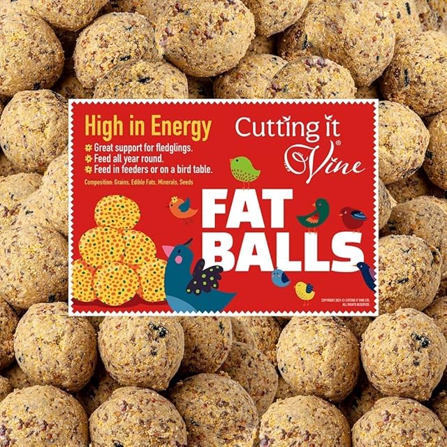 Cutting it Vine Fat Balls for Wild Birds (10), High Energy Fat Balls for Birds, Fill Your Garden with Bird Life, Highly Nutritious Bird Fat Balls For Year Round Wild Bird Food
