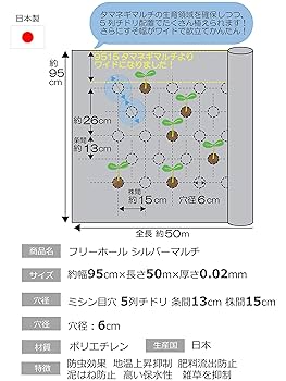 Amazon.co.jp: 岩谷マテリアル 新フリーホールシルバーマルチ