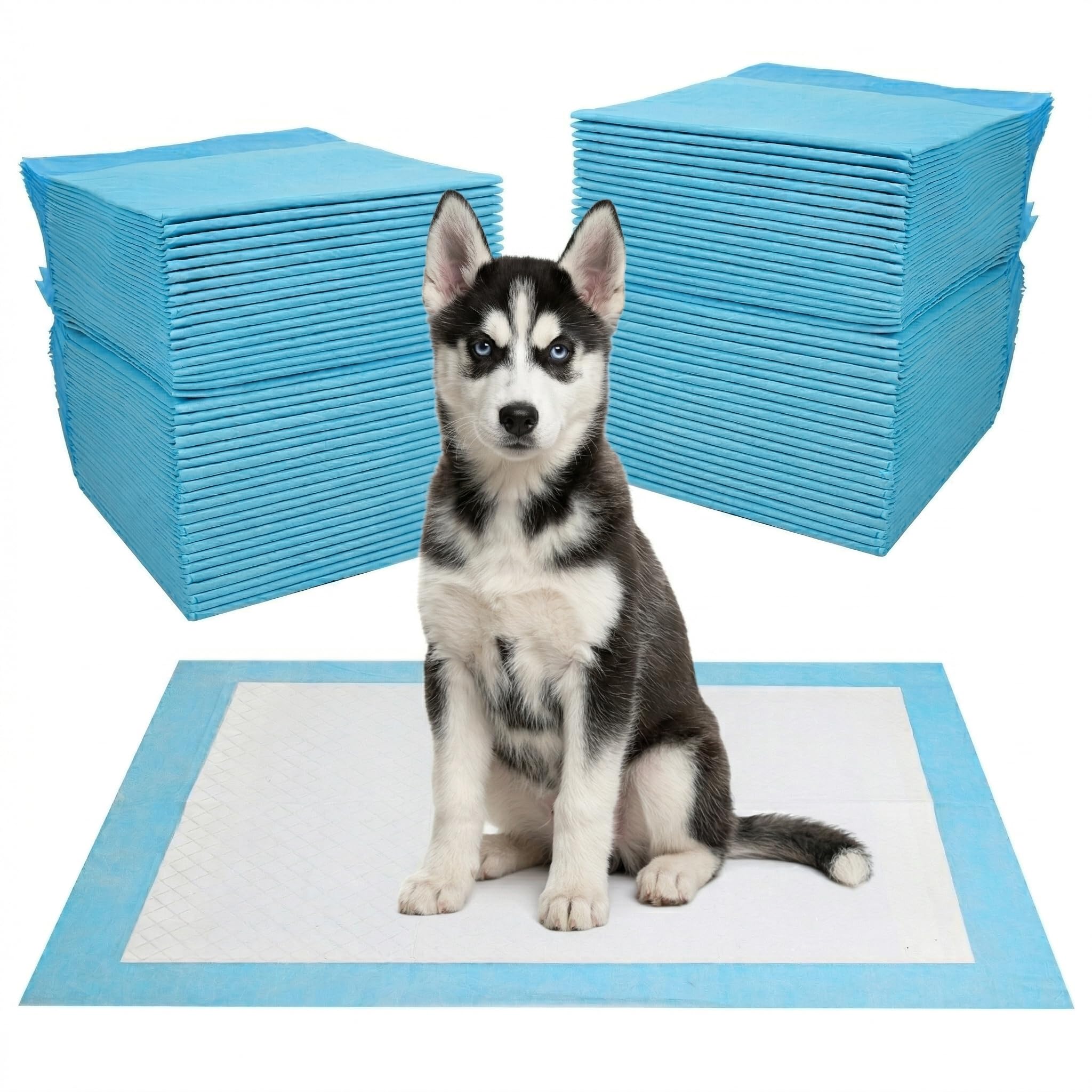 100 Pièces Alaise pour Chien, 60 × 60 cm Aleses Jetables pour Chien, Anti-Fuite et Résistante - Tapis Absorbant Chien, Super Absorbants, Apprentissage de la Propreté