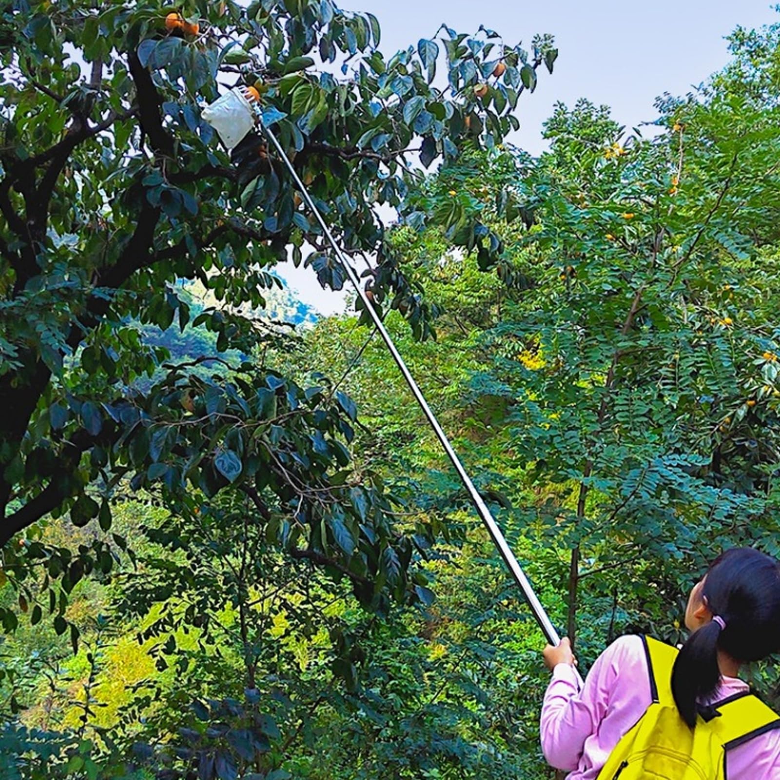 16 ft, Cueilleur de Fruits télescopique, Métal Cueille-Fruits avec Sac de Collecte, Outil de Cueilleur Récolteuses de Fruits Orange Pomme Outil de Cueillette de Jardin