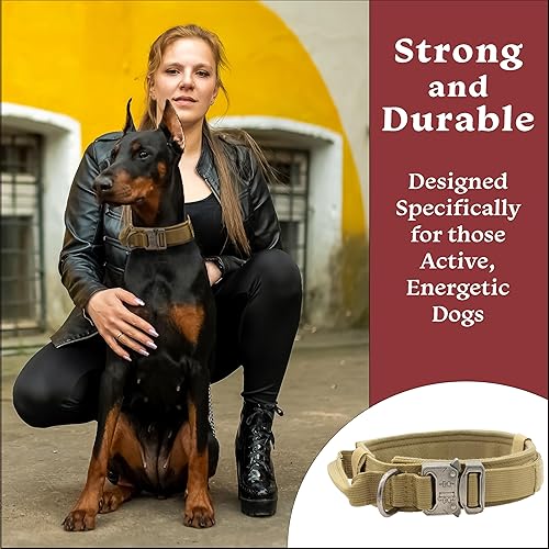 Miniatura 4 de Ridge Ramblers Collar de entrenamiento para perros con asa y hebilla de metal. De nuestra serie de entrenamiento gran collar de entrenamiento K9,