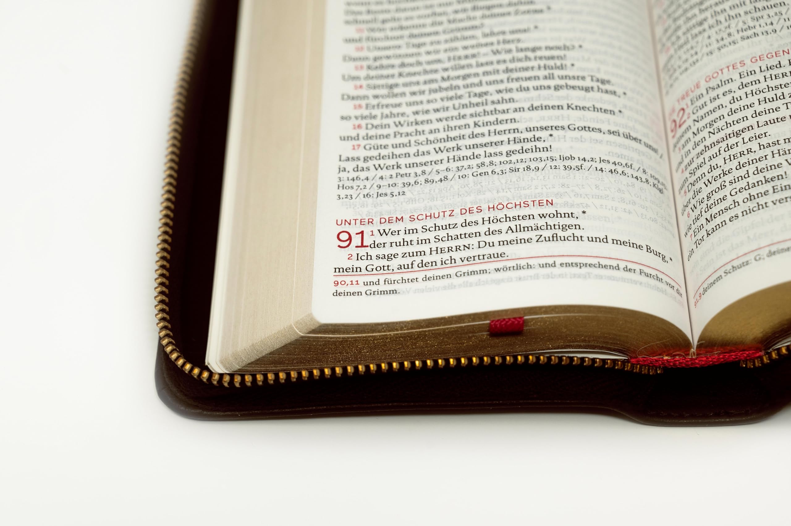 Die Bibel: Taschenausgabe in braunem Echtleder: Einheitsübersetzung