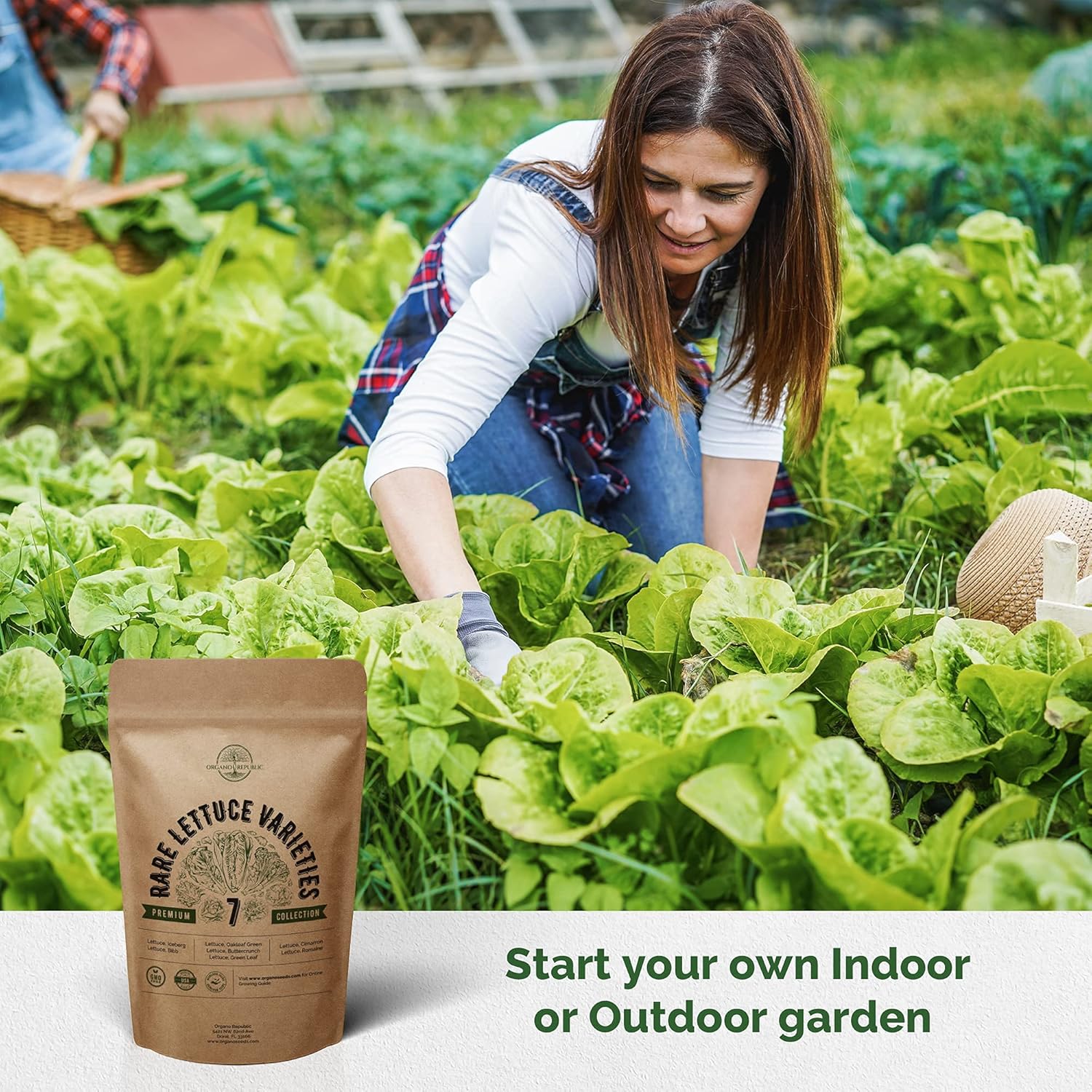 7 Lettuce Seeds Variety Pack - Non-GMO Heirloom Seeds for Planting Lettuce Hydroponic, Aerogarden, Indoor & Outdoors. 3800+ Seeds: Bibb, Romaine, Iceberg, Green Oakleaf, Red Leaf Lettuce Seeds & More : Patio, Lawn & Garden