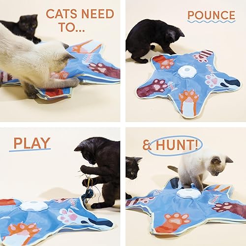 Interactive Cat Toy for Indoor Cats — shown in a real home setting for scale