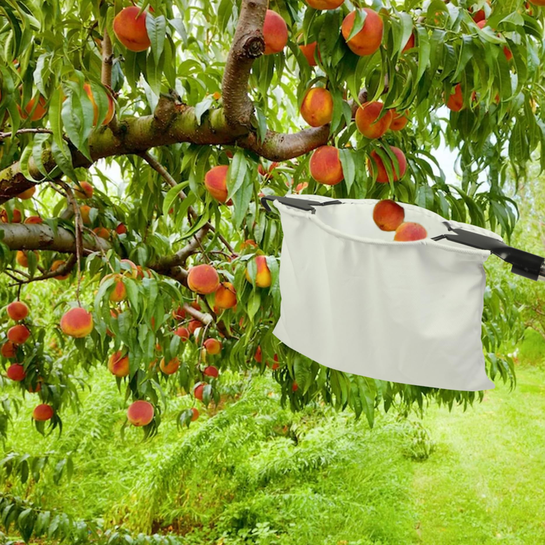 Fruit Picker Basket With Stainless Steel Cutter - 14.57x5.51 Inch Tool For Harvesting Oranges, Peaches, Pears