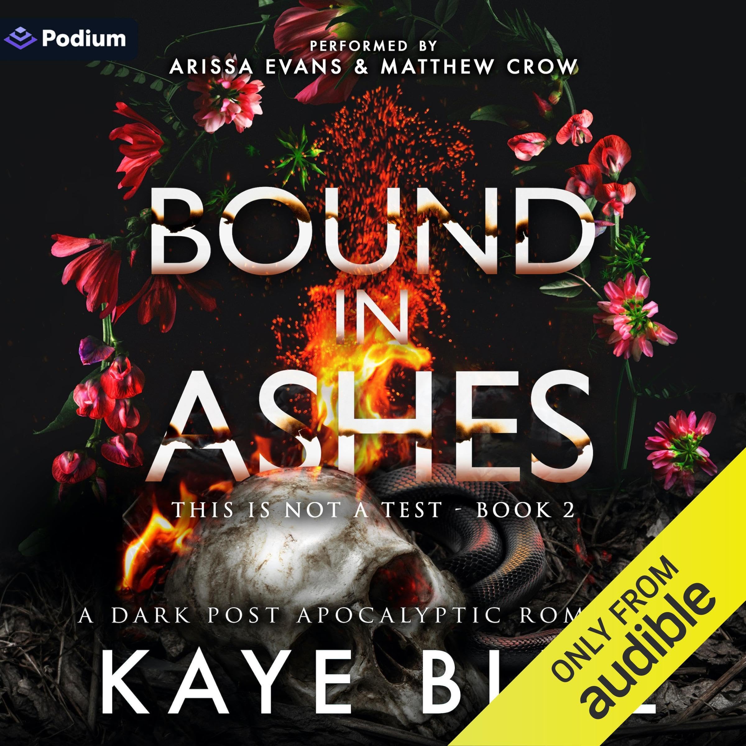 Cover art for Bound in Ashes