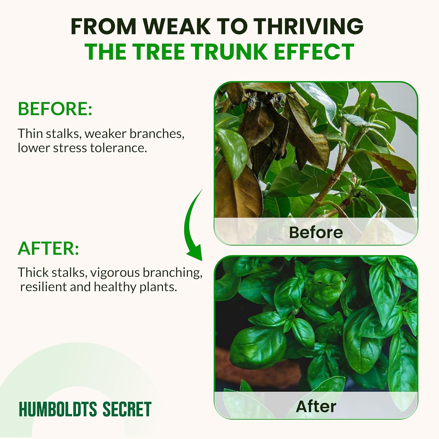 Humboldts Secret Tree Trunk | Potassium Silicate Additive | Liquid Fertilizer for Thicker Stalks, Stress Resistance & Branch Development | Indoor & Outdoor Plant Food, Hydroponic Nutrients, 32 Ounce - Image 5