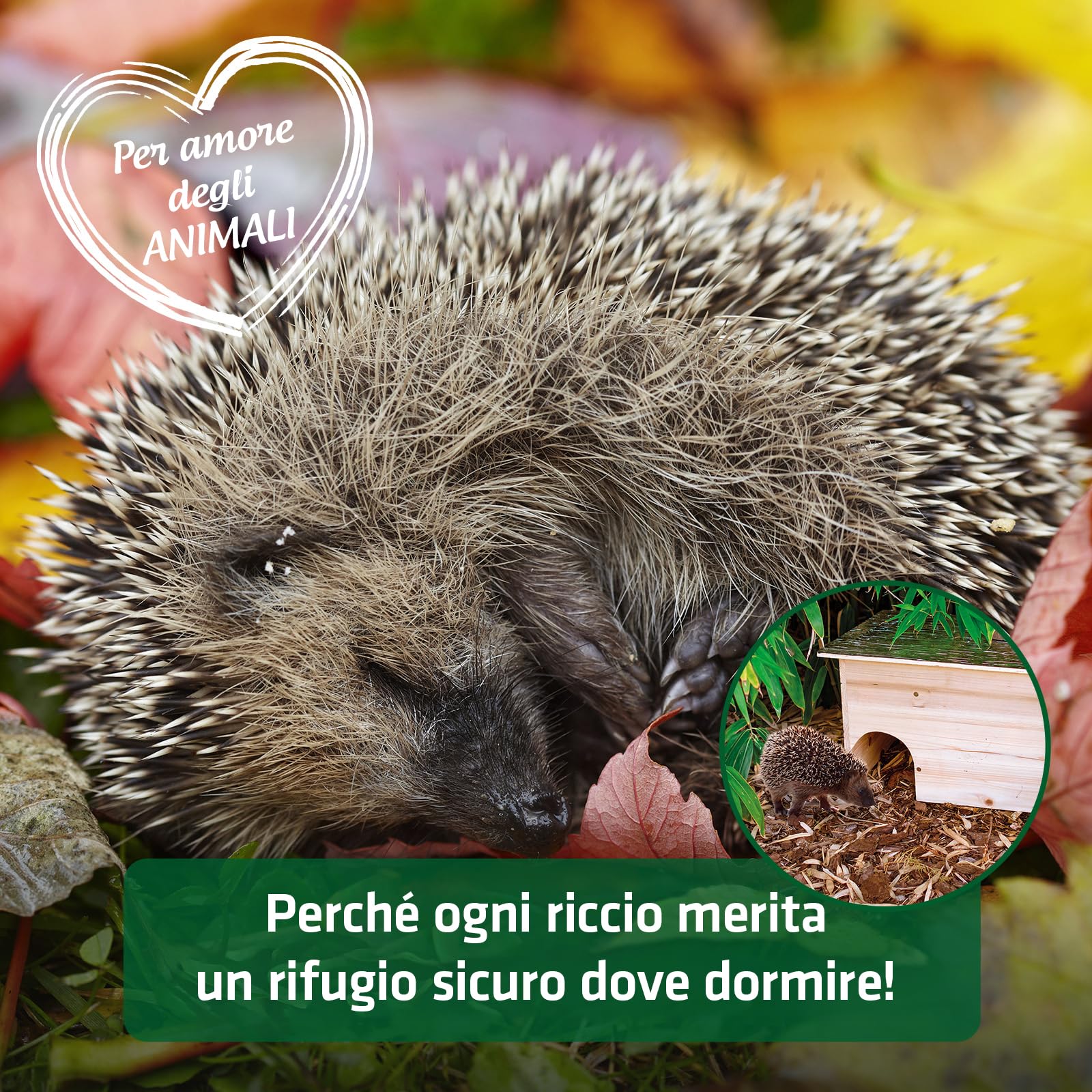 Gardigo® Casetta per Ricci - Kit in Legno | Tetto Resistente alle Intemperie | 48x29x38 cm | Riparo dai Predatori | Rifugio per Ricci per Giardino | Casetta per Piccoli Animali | Casetta Porcospini