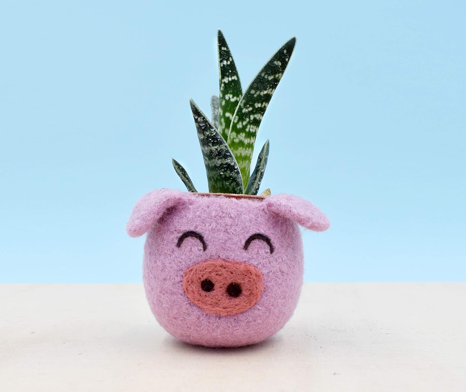Happy Pig succulent planter, Piglet lover gift for her