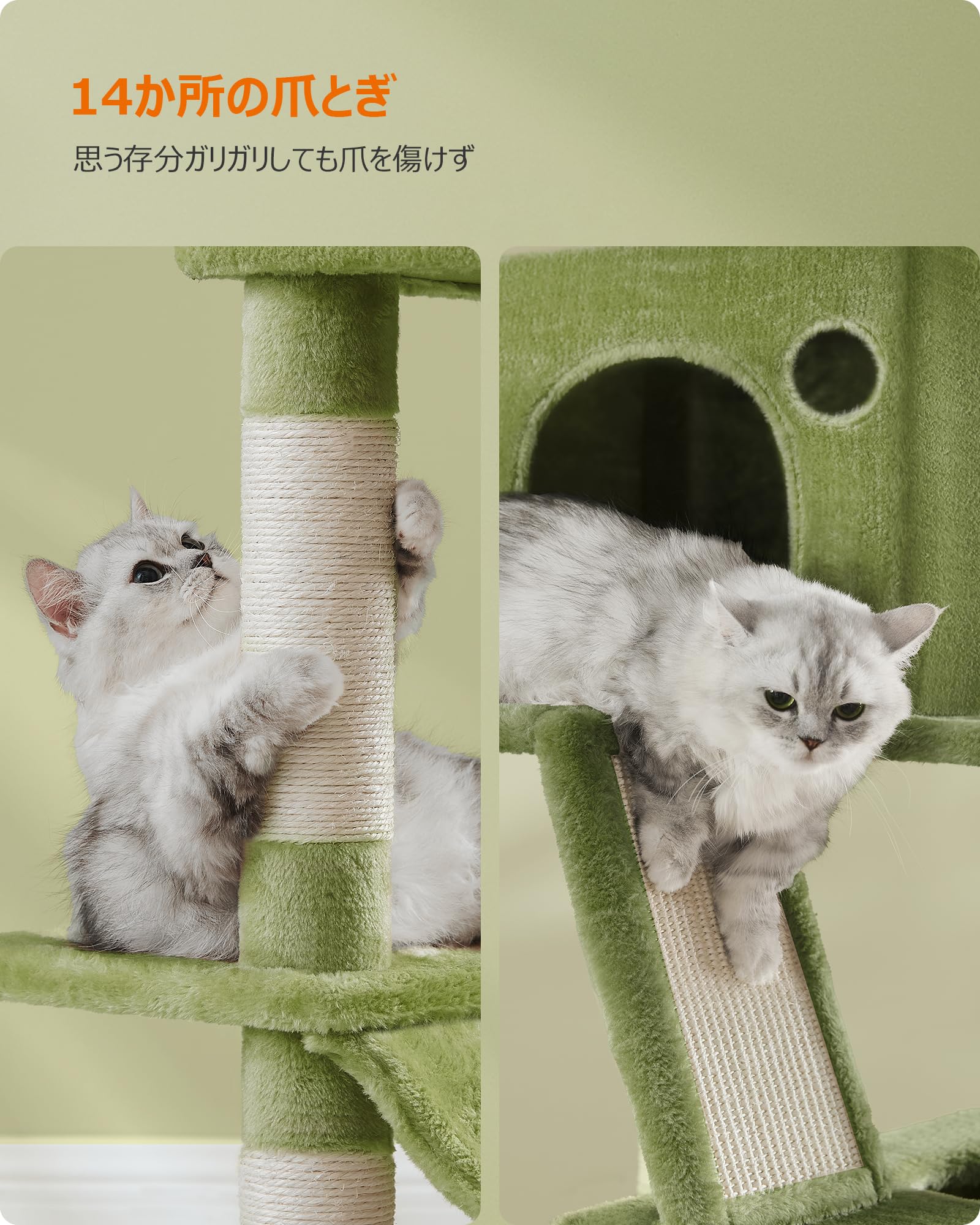 ＊新品　キャットタワー多頭飼い大型猫用スリム 安定感 転倒防止高さ206cm Amazon | FEANDREA キャットタワー 多頭飼い 大型猫用 スリム