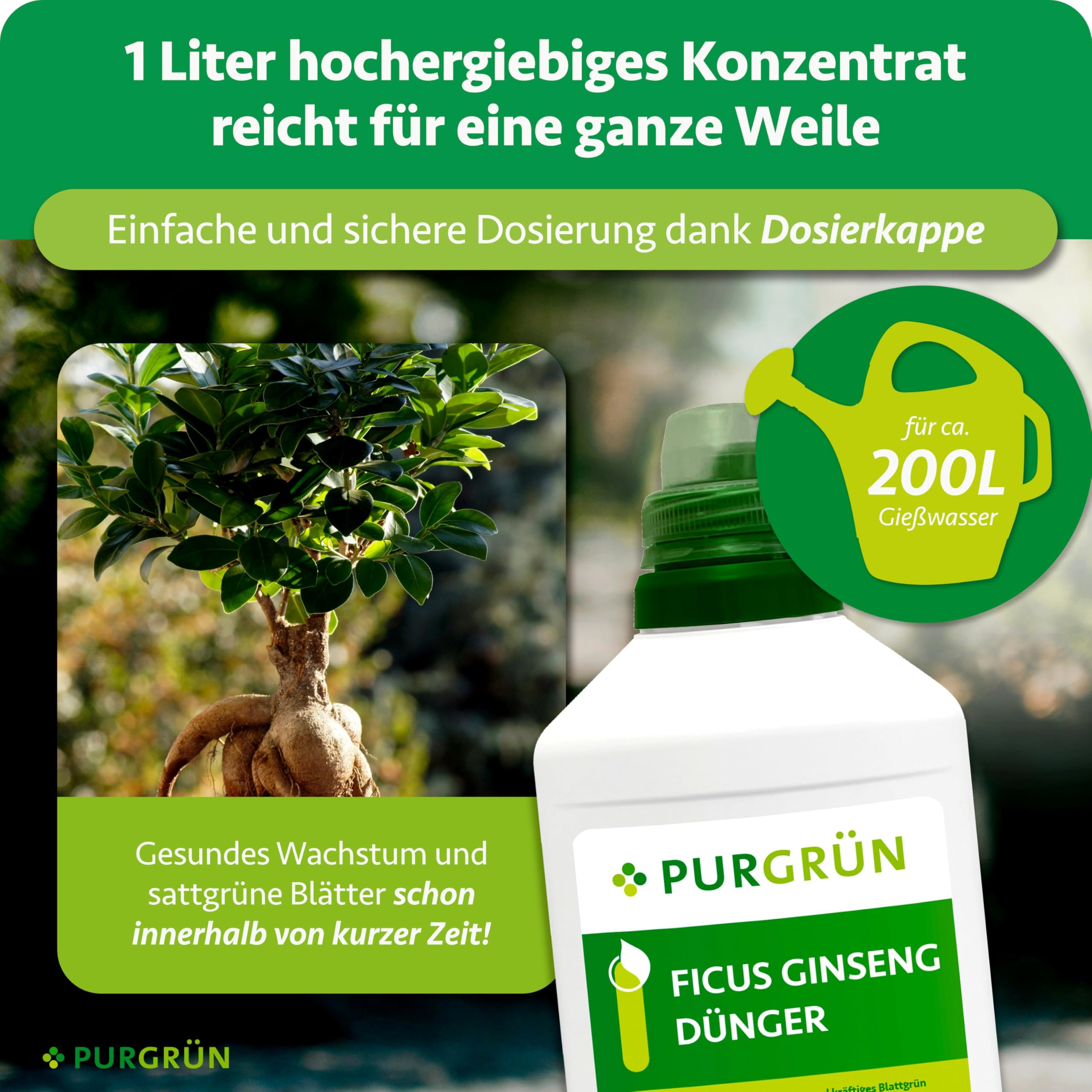 Ficus-Ginseng-Dünger 1 Liter – Fördert gesundes, dichtes Wachstum – Premium-Dünger mit Spurennährstoffen – Stärkt die Widerstandskraft mit Kalium – Konzentrat für 200 Liter Gießwasser