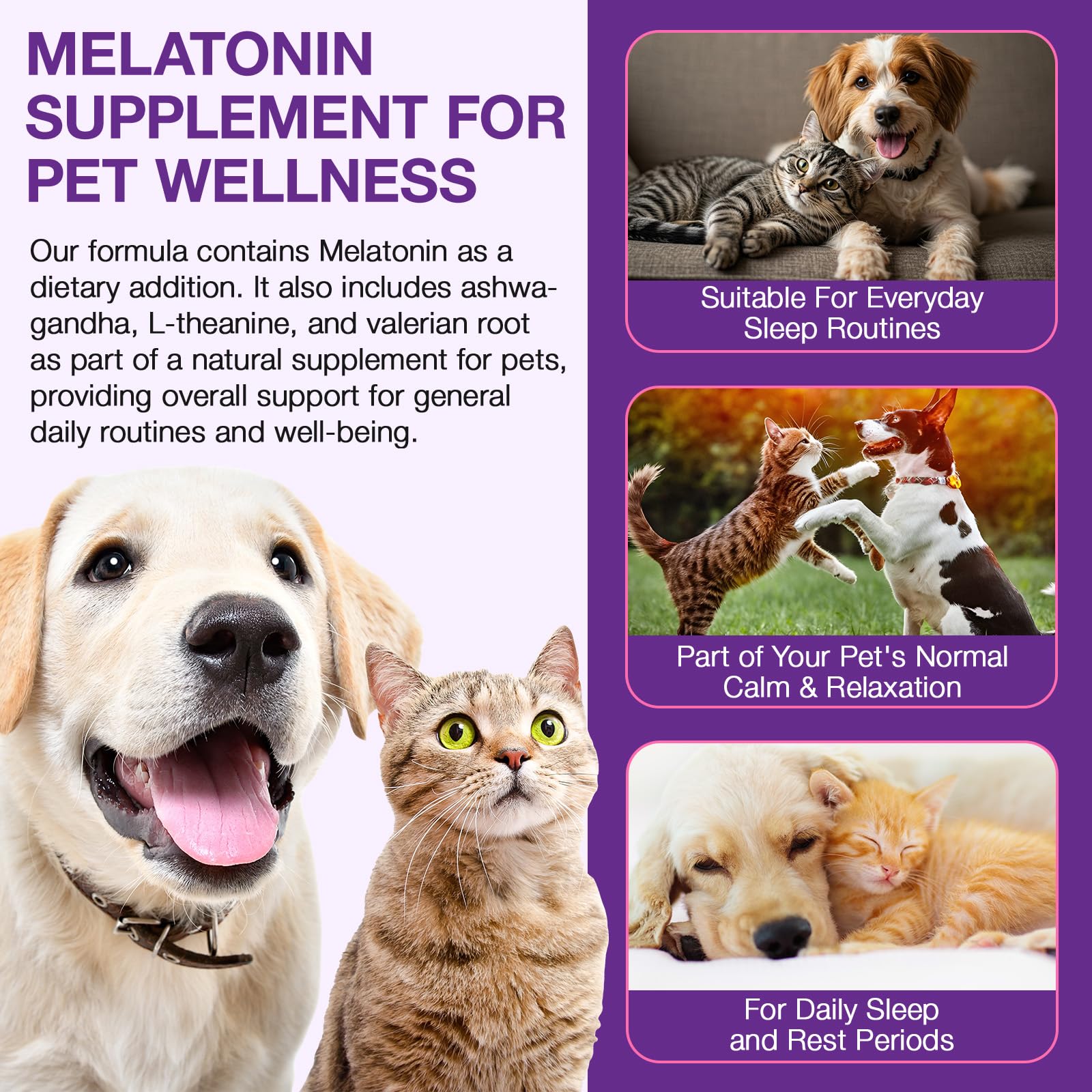 Melatonina para Mascotas, Melatonina para Perros y Gatos, 60 ml*2 Pastillas para Dormir para Perros, Ayuda a aliviar la ansiedad y el estrés, promueve la relajación y el sueño Profundo, Sabor a Pollo