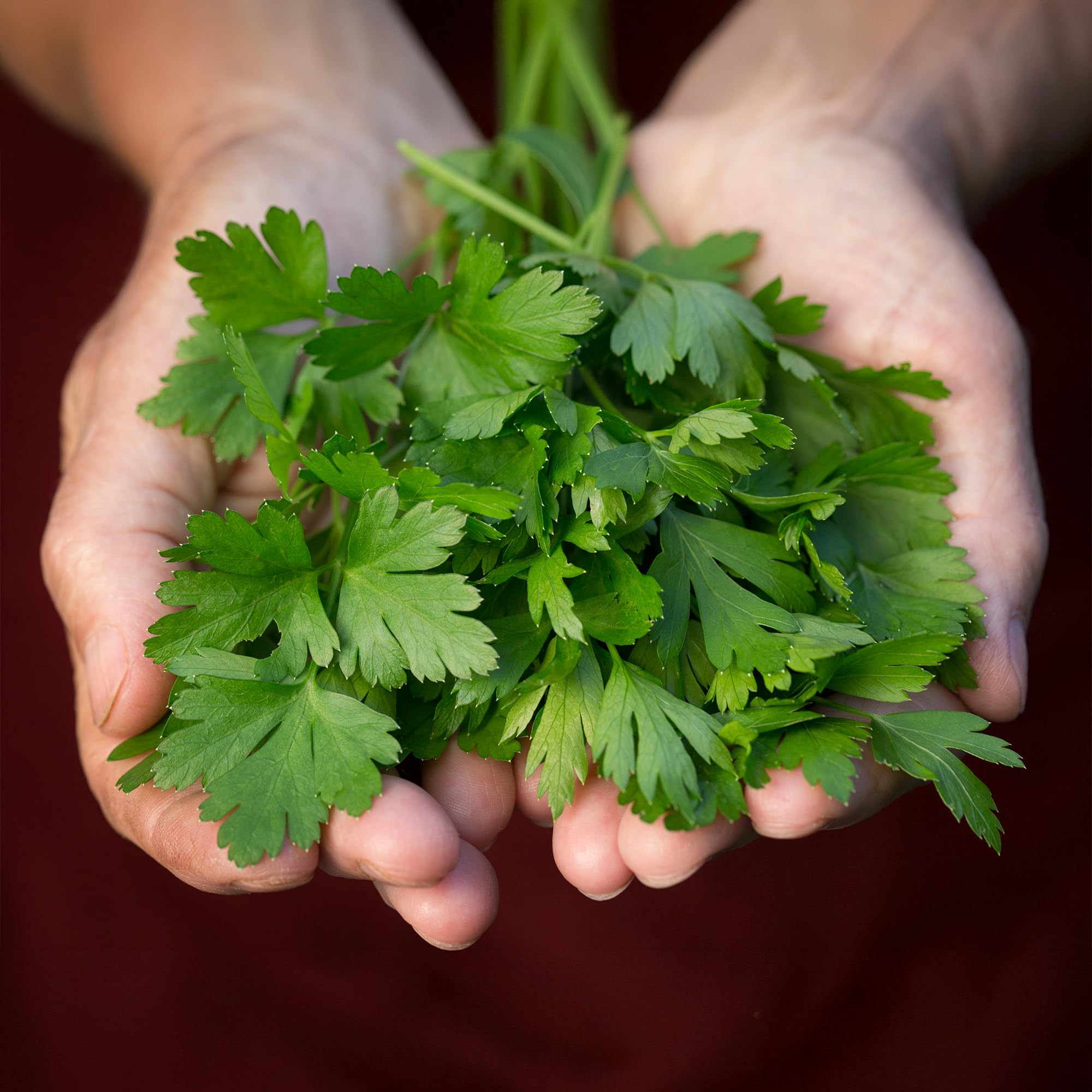 View 3