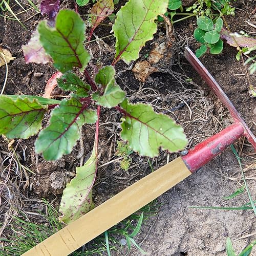 Miniatura 6 de TEHAUX 10 Uds. Implemento de granja, mango de madera, herramientas de carpintería, mango de pala, mango de martillo de repuesto, manijas de pala,