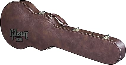 gibson les paul guitar case