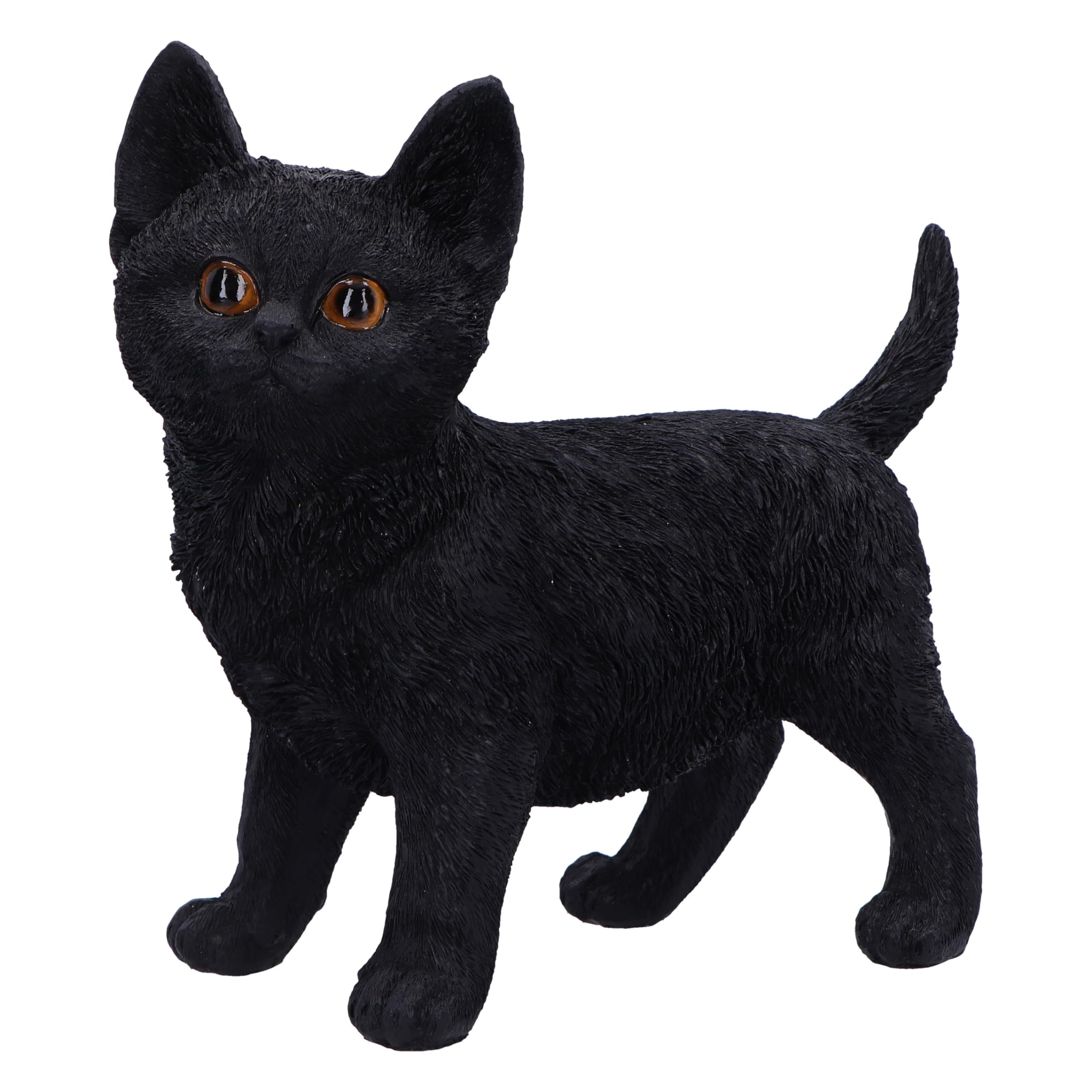 Nemesis Now Charmed Companion Figurine 20cm, Resin, Black, Charming Cat Figure, Adorable Black Cat Ornament, Collectable Cat Giftware, Cast in the Finest Resin, Expertly Hand-Painted