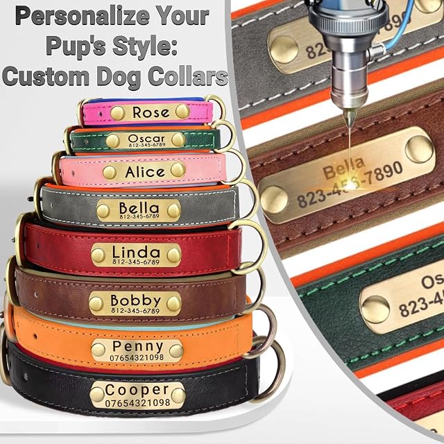 Foto 7 de 8 de SEOUGEE Collar para perro de cuero genuino, personalizable y correa, suavemente acolchado, resistente
