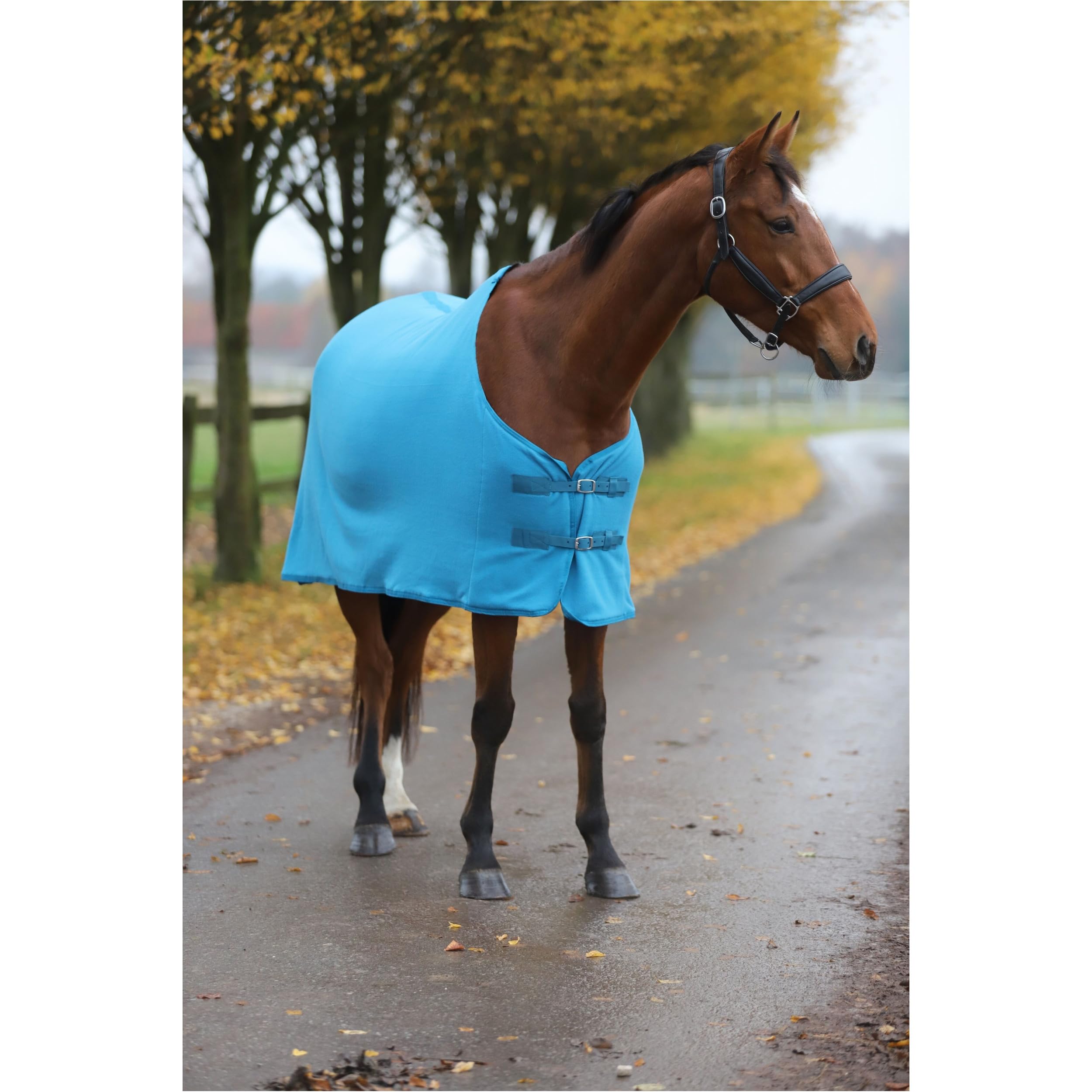 RL24 - Abschwitzdecke Basicline – Pferdedecke mit Schweifkordel, Widerristpolster & Metallverschluss – atmungsaktive Fleecedecke – Pferde Zubehör – Transportdecke in Petrol – 95cm