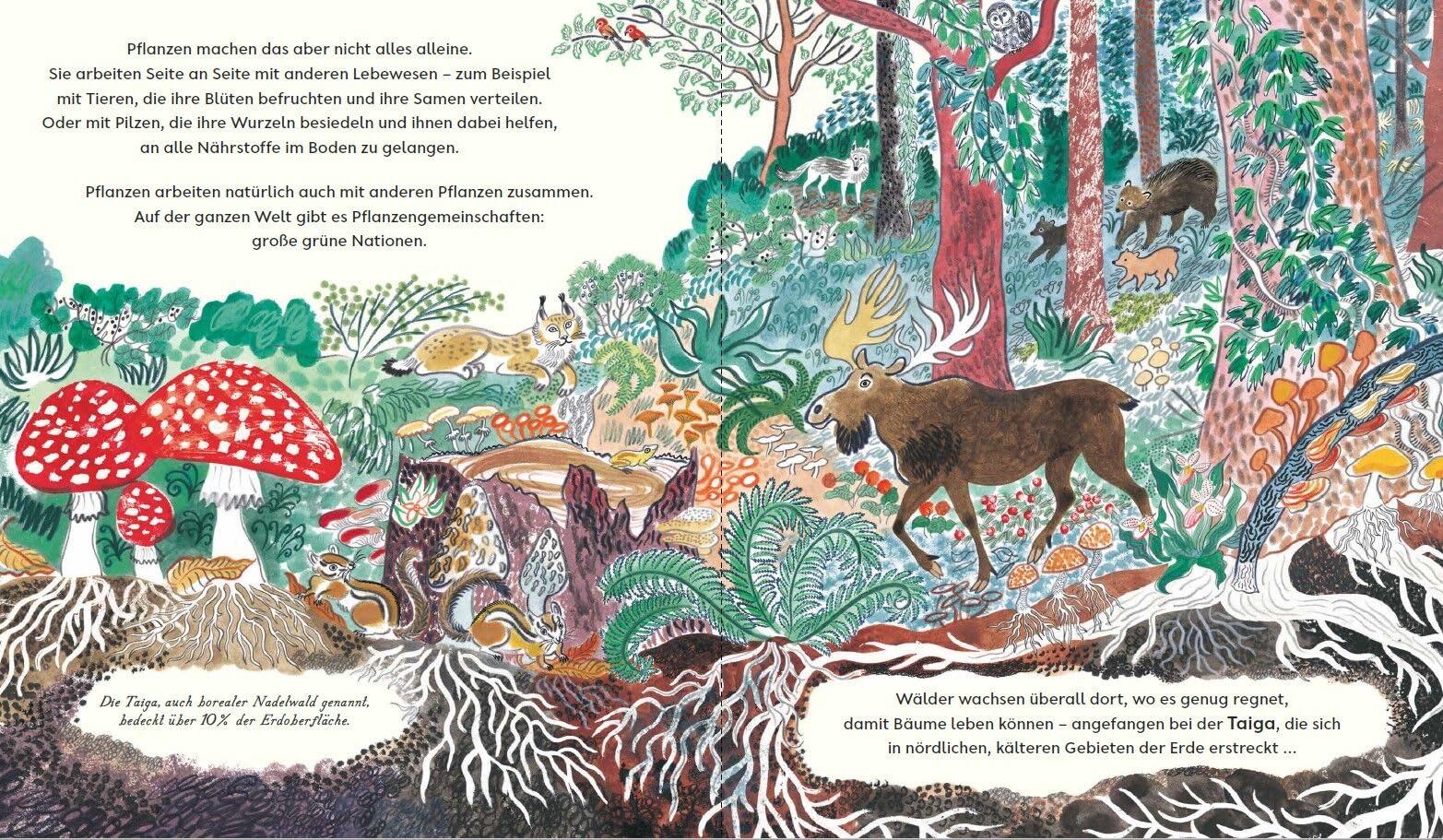 Grün: Die Entstehung des Lebens. Ein Sachbilderbuch für Kinder ab 6 Jahren