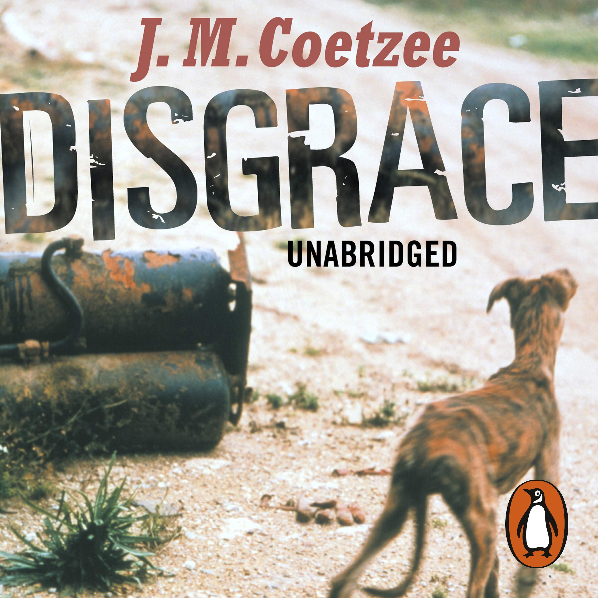 Cover art for Disgrace