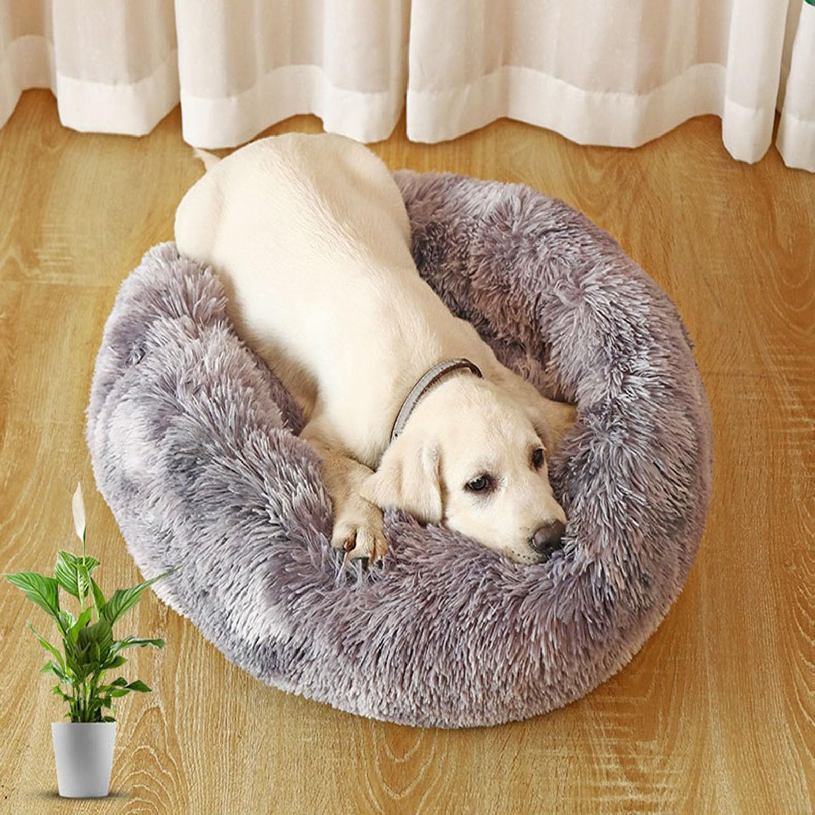Cuccia rotonda a ciambella per animali domestici, letto caldo e soffice per cani, cuccia anti-ansia per cani, a pelo lungo per gatti da interno con fondo antiscivolo, nido coccole per animali