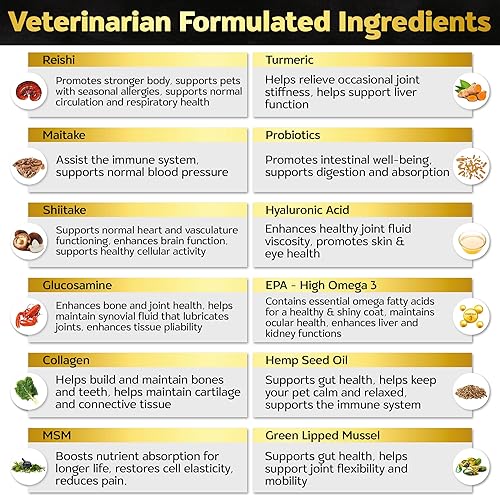 Miniatura 6 de Soft Chews - Vitaminas y suplementos para perros, multivitamínico para perros, aceite de cáñamo, glucosamina, condroitina, apoyo para la salud de la