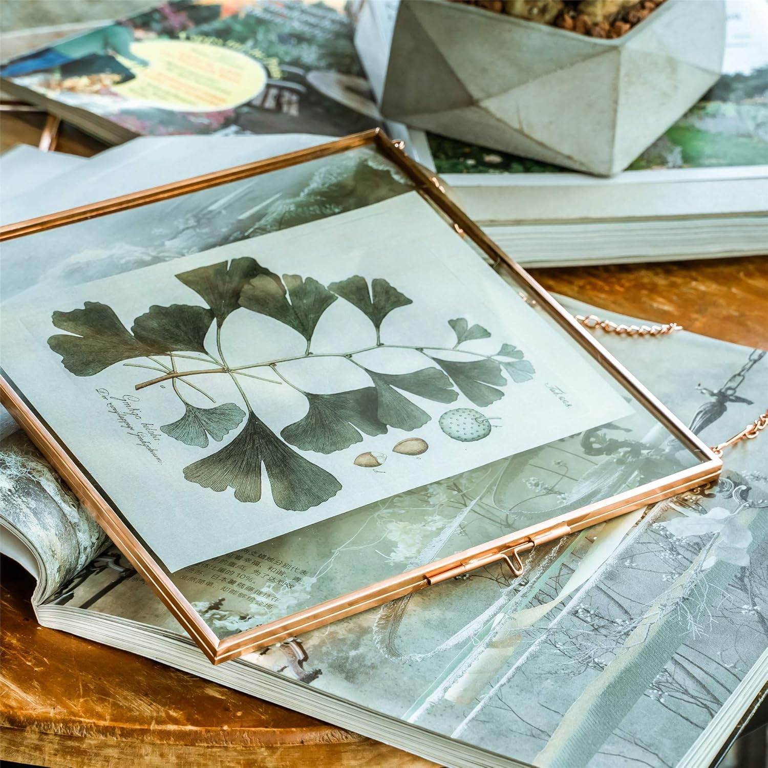 NCYP Rose Gold Hanging Glass Display Frame 7.87″ x 7.87″ for Pressed