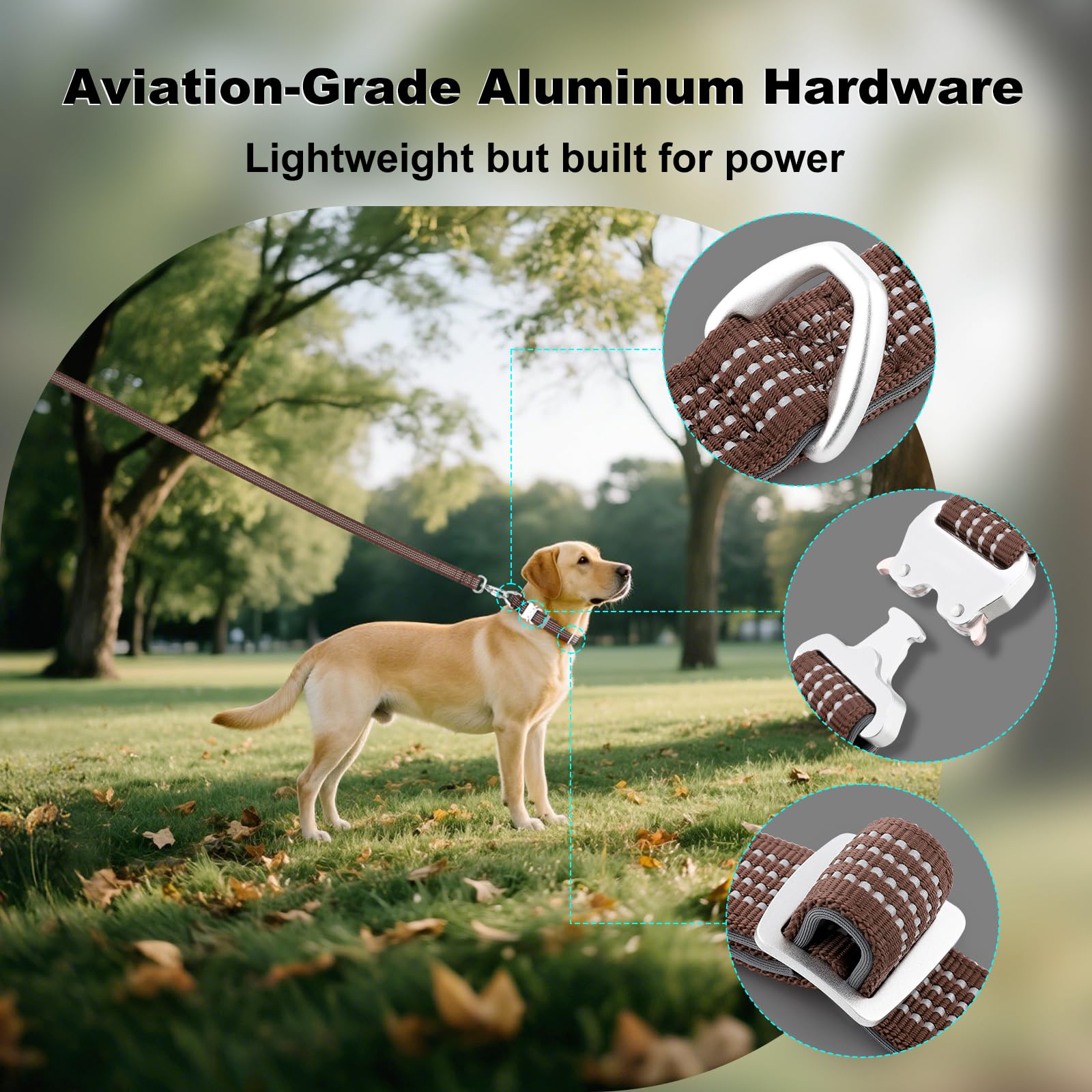 Plutus Pet Reflective Dog Collar with Aviation Aluminum Buckle, Neoprene Padded for comfort Lightweight - Image 3