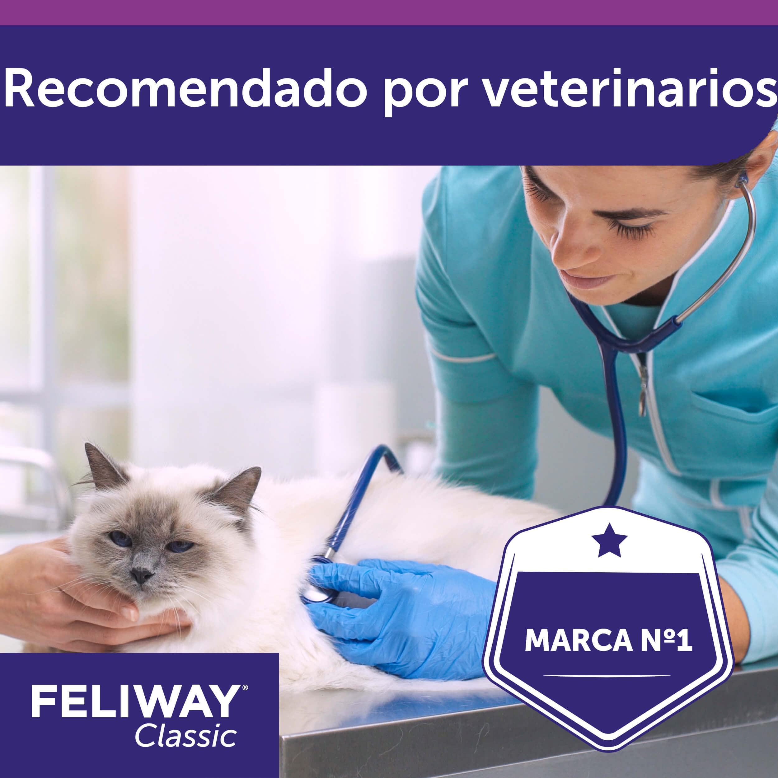 FELIWAY Classic Spray - Feromonas calmantes para gatos (20ml). Reduce los marcajes con orina y el estrés durante los viajes en transportín. Recomendado por veterinarios.