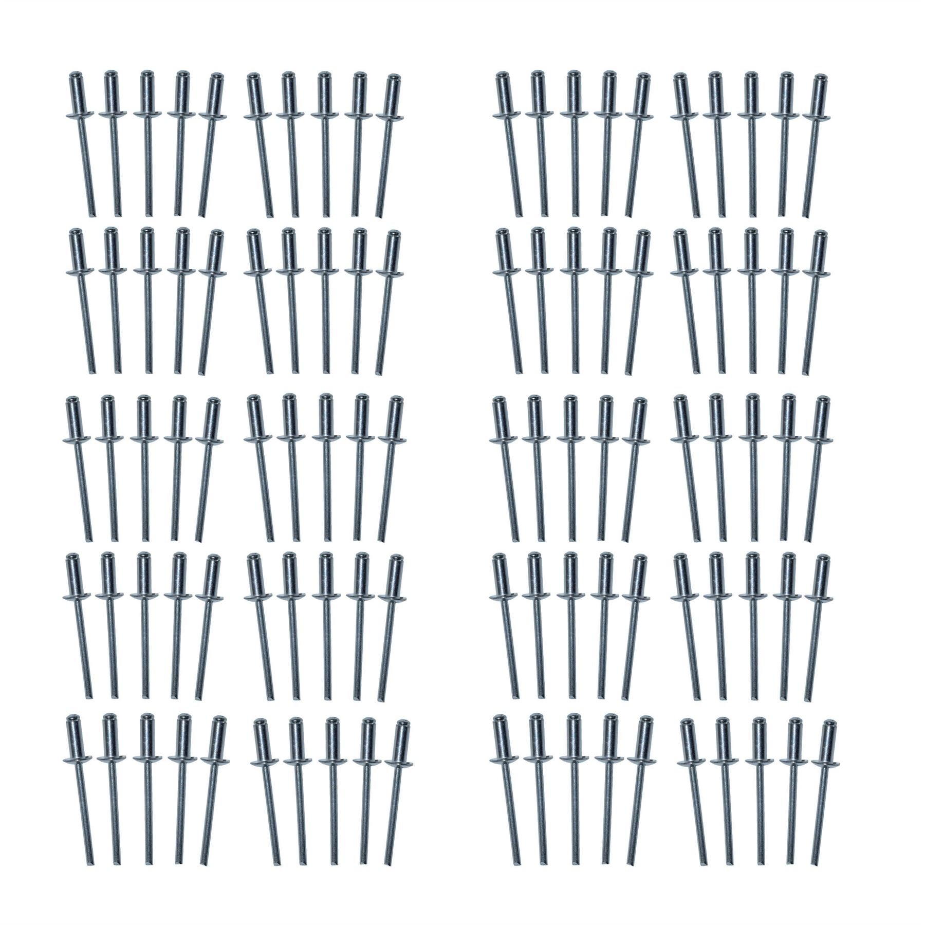 Metric Aluminium Blind Pop Pot Rivets Set Fastener Fastening 4mm x 10mm 100pc