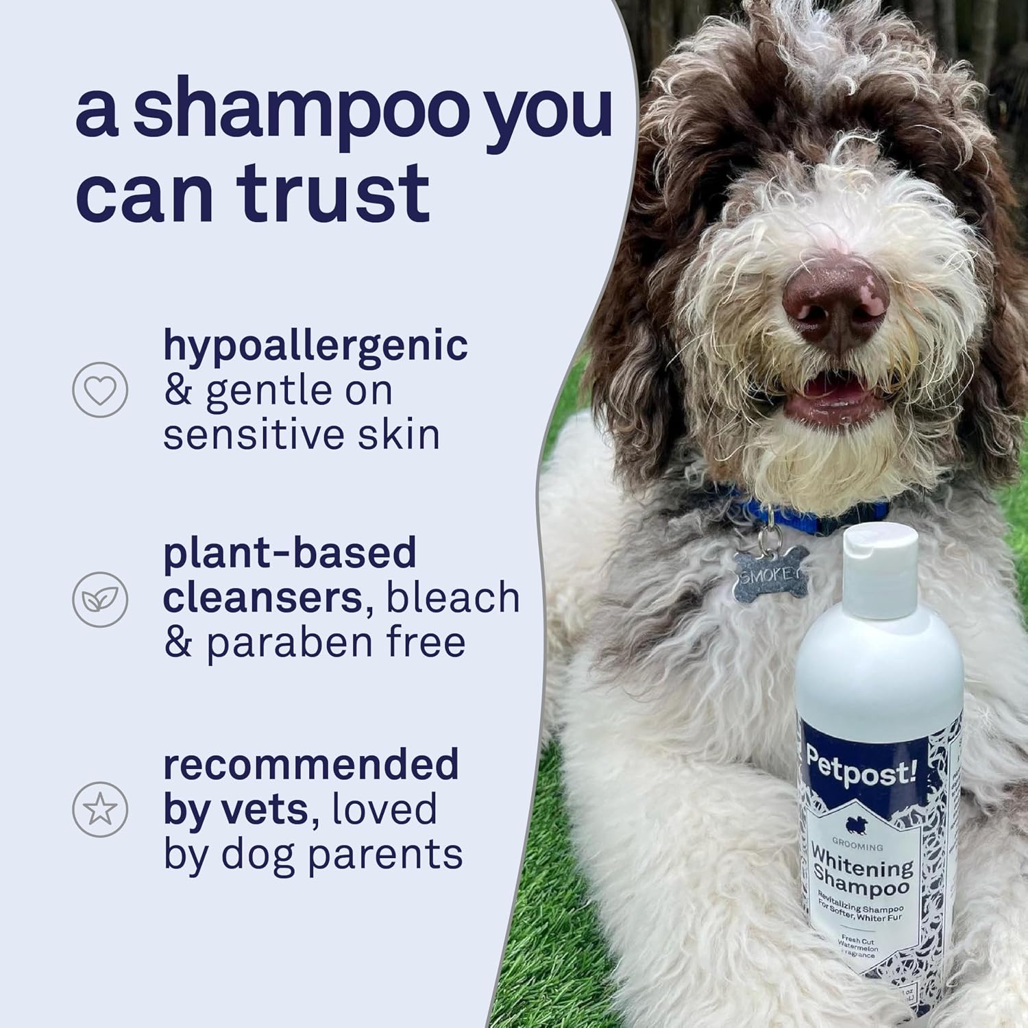 Petpost | Dog Whitening Shampoo with Coconut Oil & Aloe. Brightens White & Light Coats, Moisturizes Skin. Watermelon Scent. 8 oz image 4